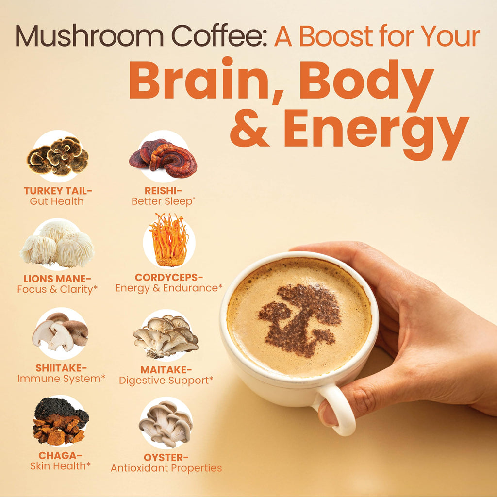 Focus Coffee Mushroom Blend, Nootropic Complex Coffee, Supports Alertness and Clarity, (Lion’s Mane, Cordyceps, Turkey Tail) Green Coffee Bean Instant Coffee for Focus & Gut Health, 30 Servings Rapid Fire Au supplements