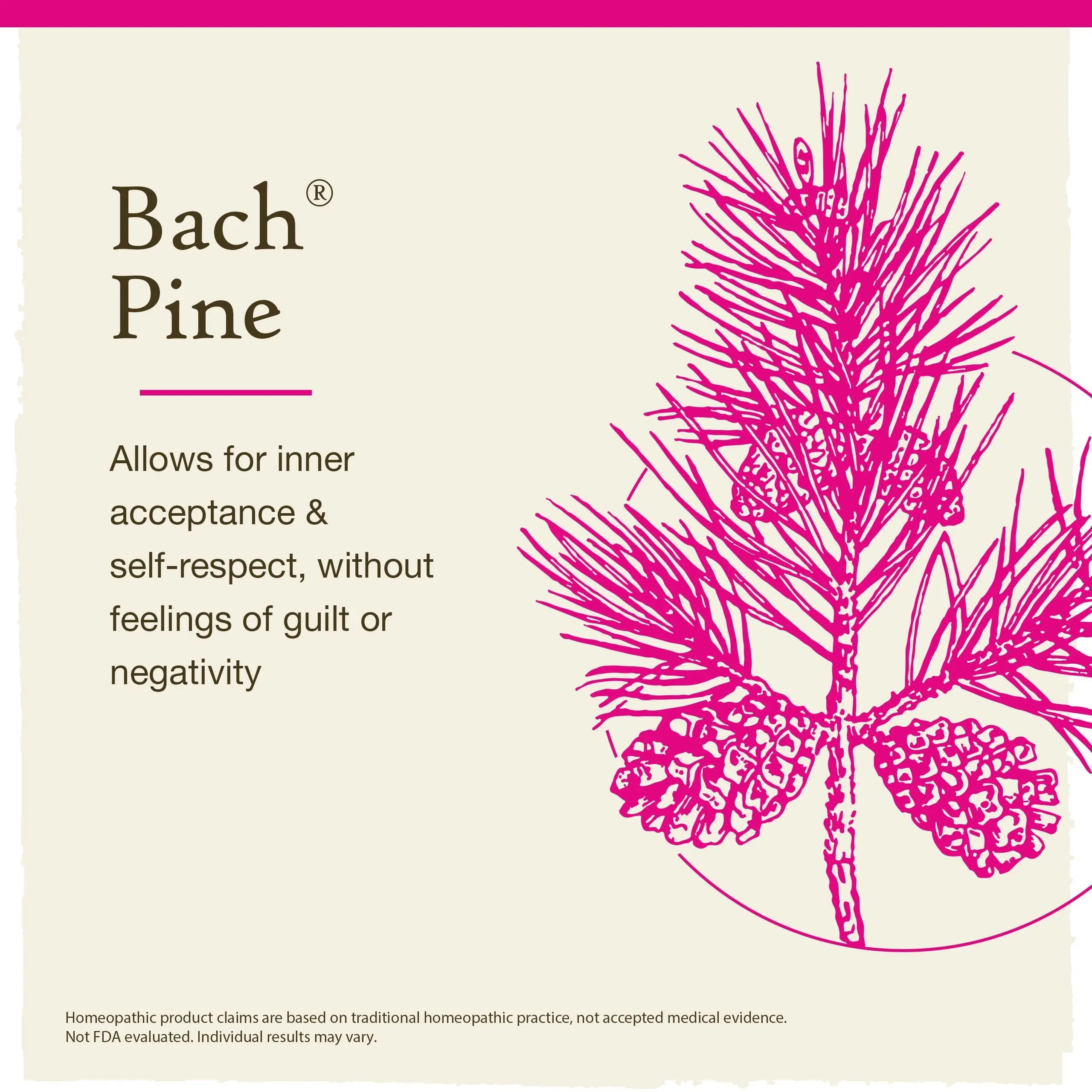 Bach Original Flower Remedies, Pine for Self Respect, Natural Homeopathic Flower Essence Bach Au supplements