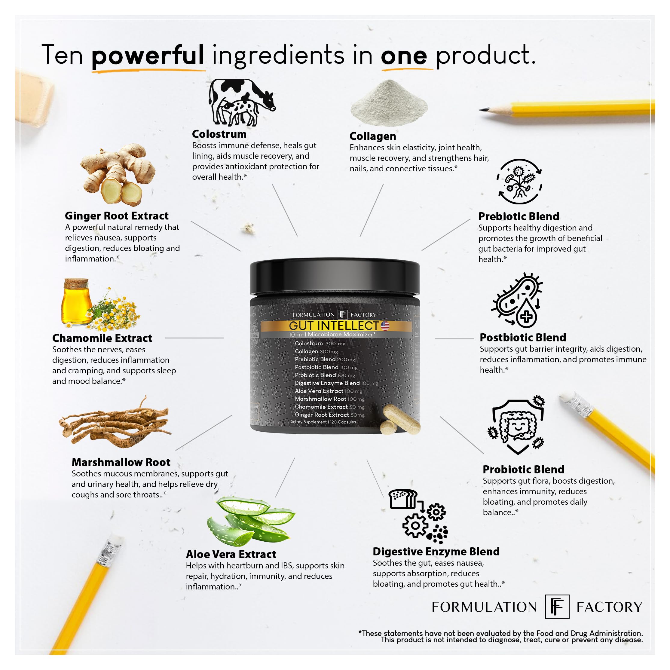 Formulation Factory Probiotics for Women & Men - Gut Intellect 10-in-1 Digestive Enzymes with Prebiotics and Postbiotics - Total Gut Health Supplement