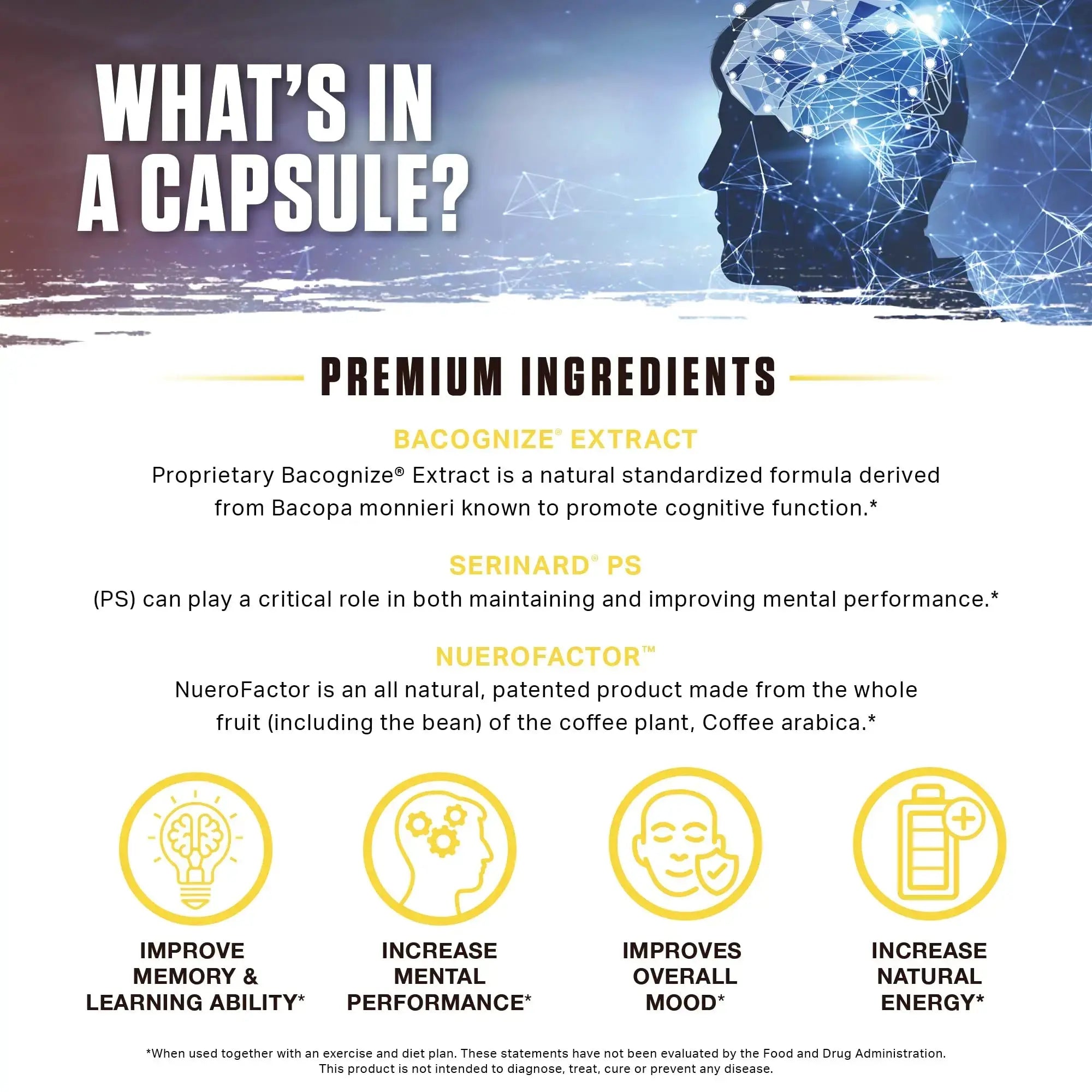 Ambrosia Mental Jewels (Capsules) - Cognitive Enhancer | Increase Memory, Communication Skills, Concentration & Focus | Alpha GPC, Choline, BaCognize Ambrosia Au supplements