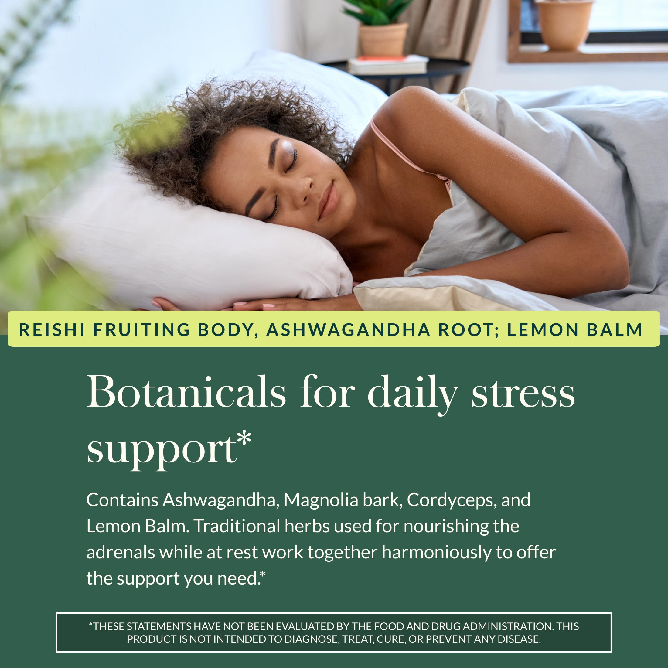 Gaia Herbs Adrenal Health Nightly Restore - Herbal Supplement with Ashwagandha, Magnolia Bark, Cordyceps, Lemon Balm & More* - 60 Vegan Liquid Phyto-Caps (30 Servings) Gaia Herbs Au supplements