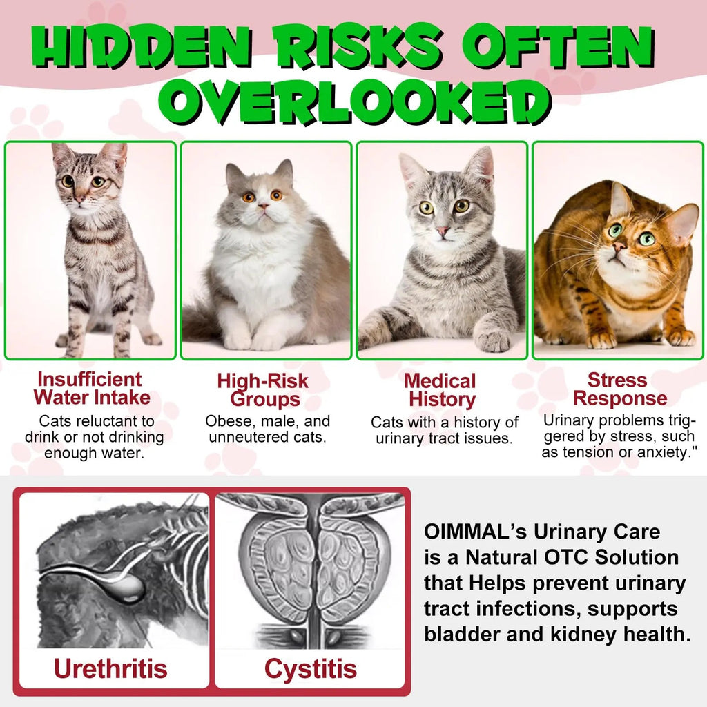 Cat Urinary Tract Infection Treatment, Cat UTI Treatment Drops Supports Bladder, Kidney Stone, Cranberry Kidney Bladder Support Supplement, Chicken Flavor, 60ml BTQAFVZT Au supplements