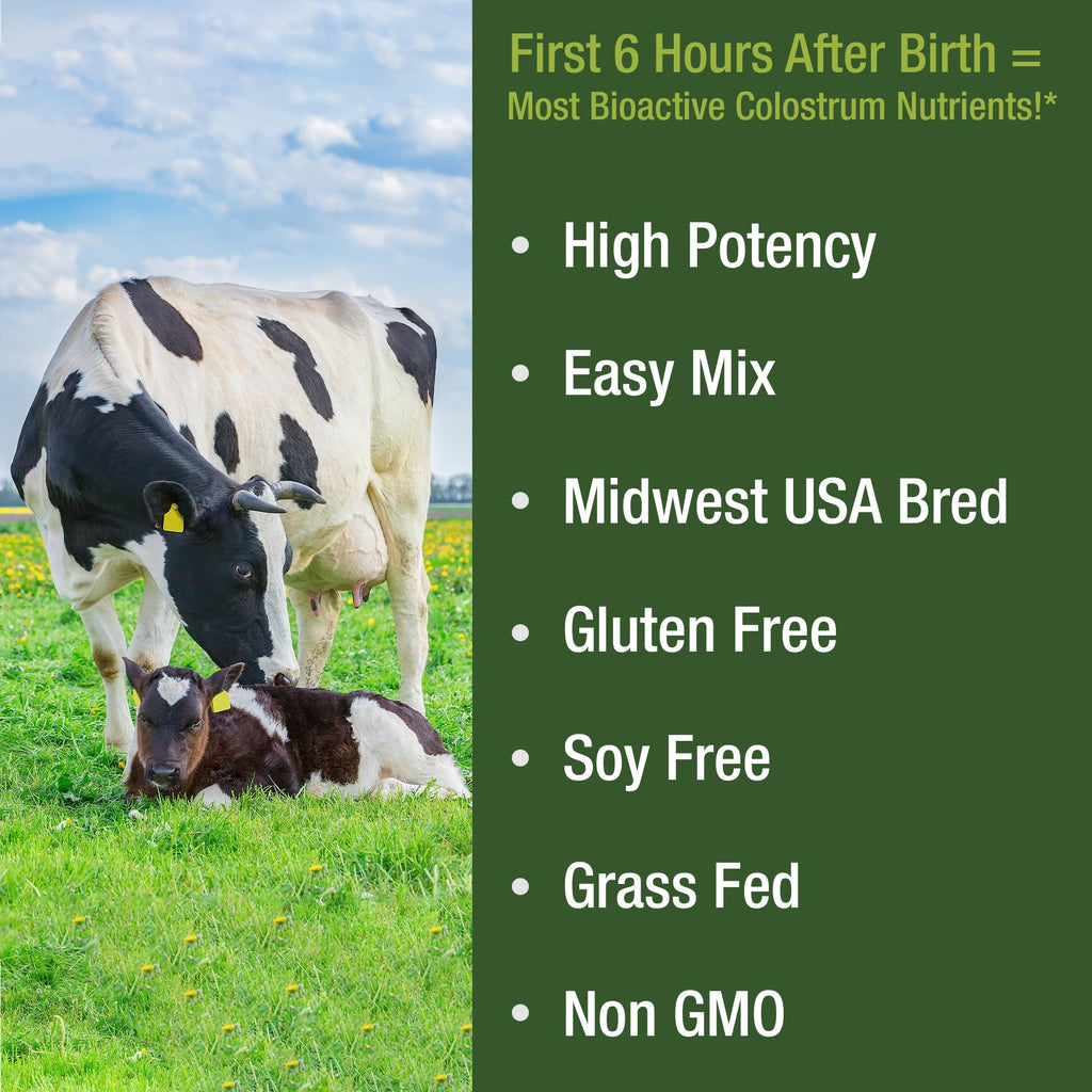 First Milking Colostrum Powder from Grass Fed USA Cows Milked Within 6 Hours of Giving Birth to Get the Most Bioactive Nutrients. High Immunoglobulin Non-GMO Bovine Colostrum Supplement for Humans Peak Performance Au supplements