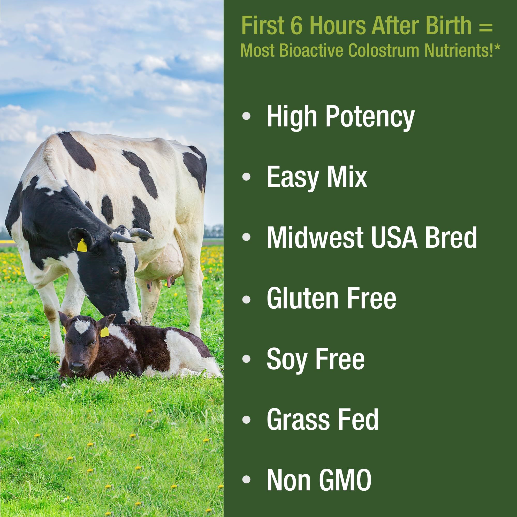 First Milking Colostrum Powder from Grass Fed USA Cows Milked Within 6 Hours of Giving Birth to Get the Most Bioactive Nutrients. High Immunoglobulin Non-GMO Bovine Colostrum Supplement for Humans Peak Performance Au supplements