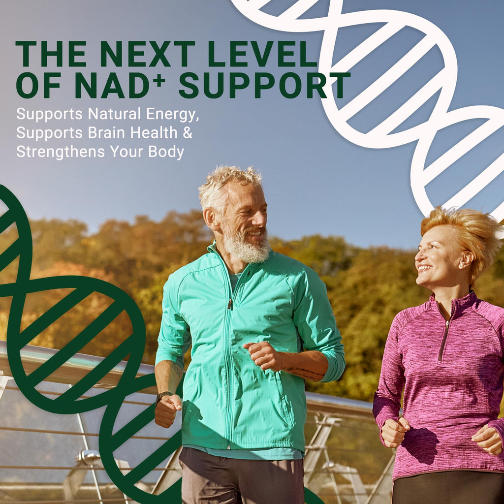 GenuinePurity - NMNH NAD Supplement - 250mg, 30 Count Liposomal NAD+ Supplement for Cellular Health & Energy - GMP Certified Advanced Reduced Form of NMN for Superior Stability & Absorption GenuinePurity Au supplements