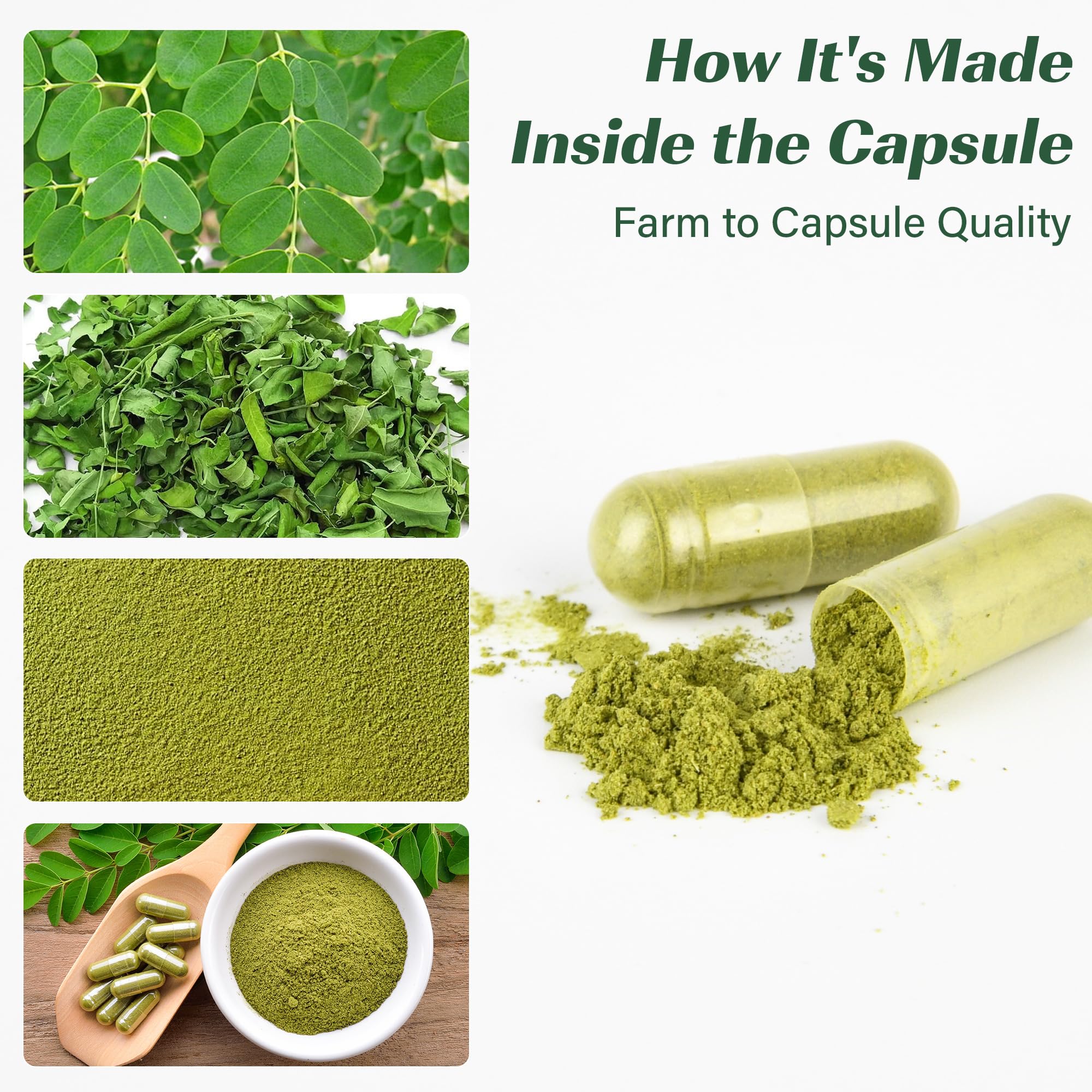 Moringa Capsules, Moringa Pure Capsules For Energy, Immune Support, Gut Health & Powerful Green Superfood, Rich In Antioxidants, Essential Vitamins & Amino Acids