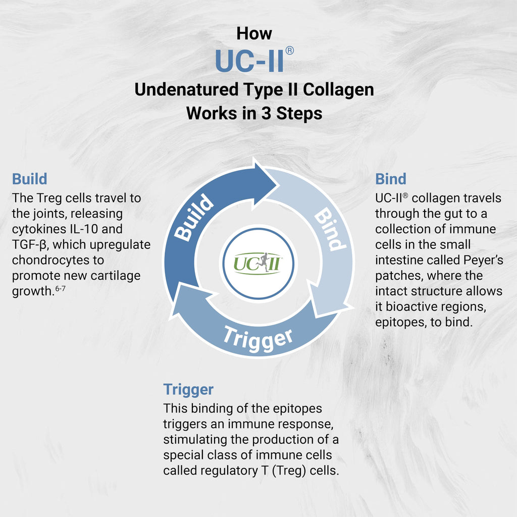 Naturalis UC-II 40 mg with Hyaluronic Acid and Shea Nut Oil | Enhanced Undenatured Type II Collagen for Better Joint Health, Mobility & Flexibility