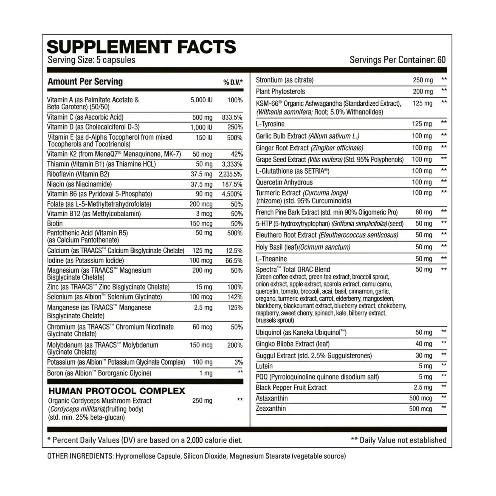 HD MUSCLE VitaHD Essential Multivitamin | Athlete-Specific Vitamins, Minerals, & Nutrients | Organic Mushroom Blend HD MUSCLE Au supplements