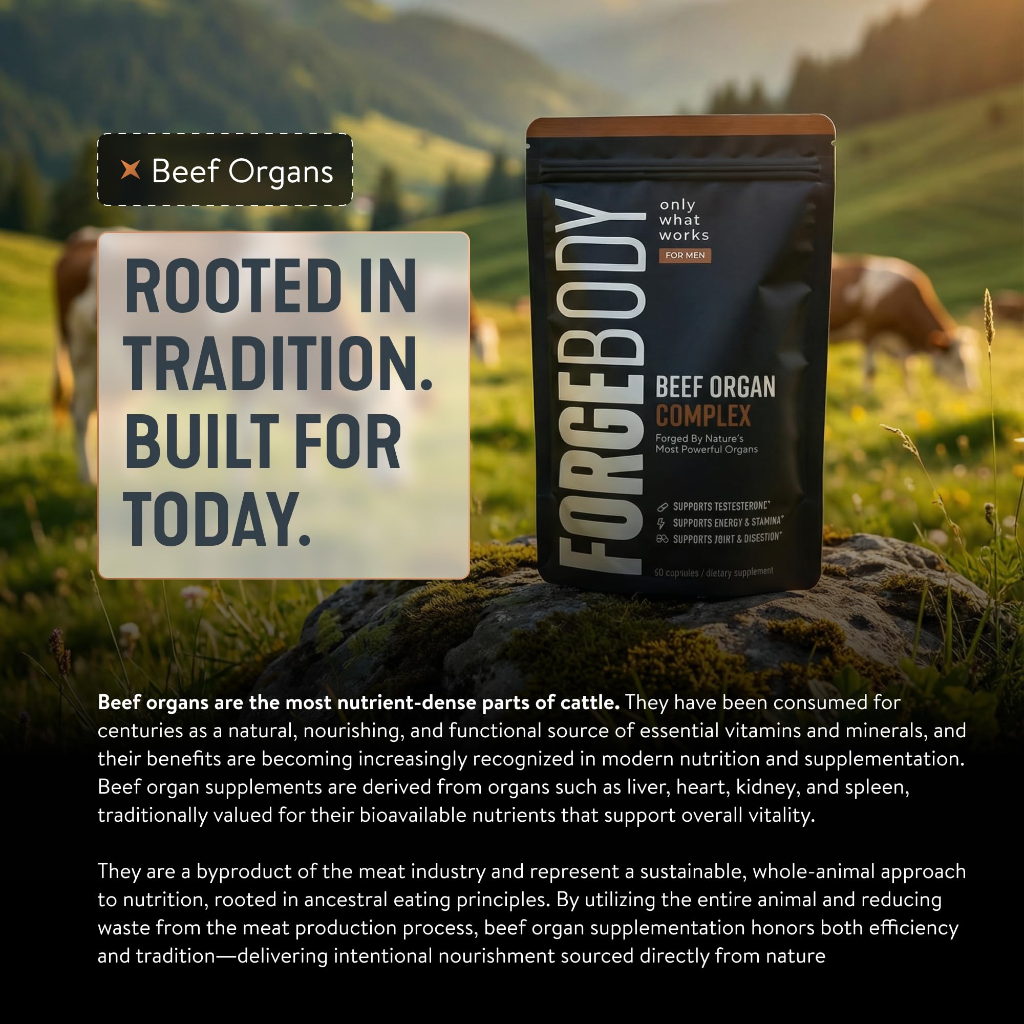 FORGEBODY® Beef Organ Complex Capsules [1 Month] - 100% Grass Fed Beef Organ Supplement with Blend of Liver, Heart, Bone Marrow, Pancreas & Testicles