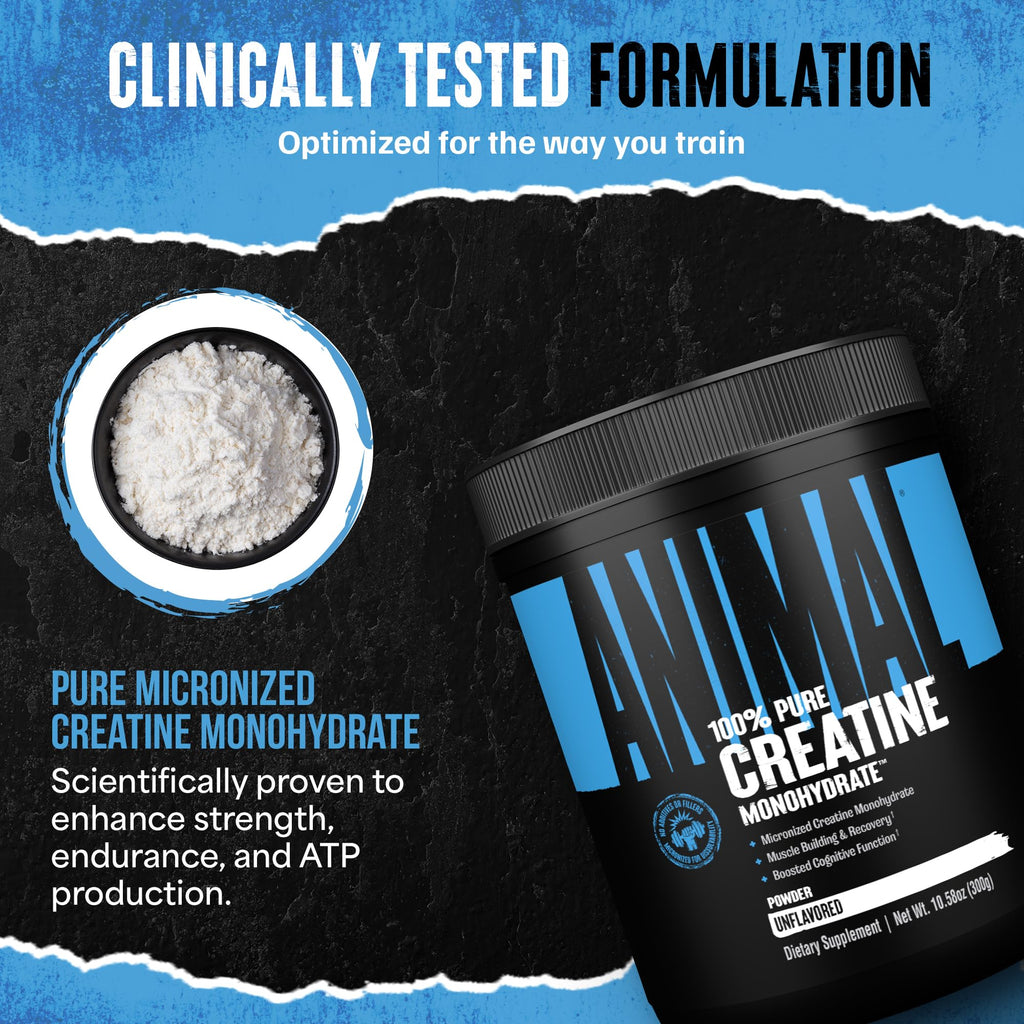 Animal Creatine Monohydrate Powder – Micronized Creatine for Women and Men, Supports Muscle Growth, Strength, Endurance, Recovery and ATP Production, Gym & Workout Supplements - Unflavored, 300g Animal Au supplements