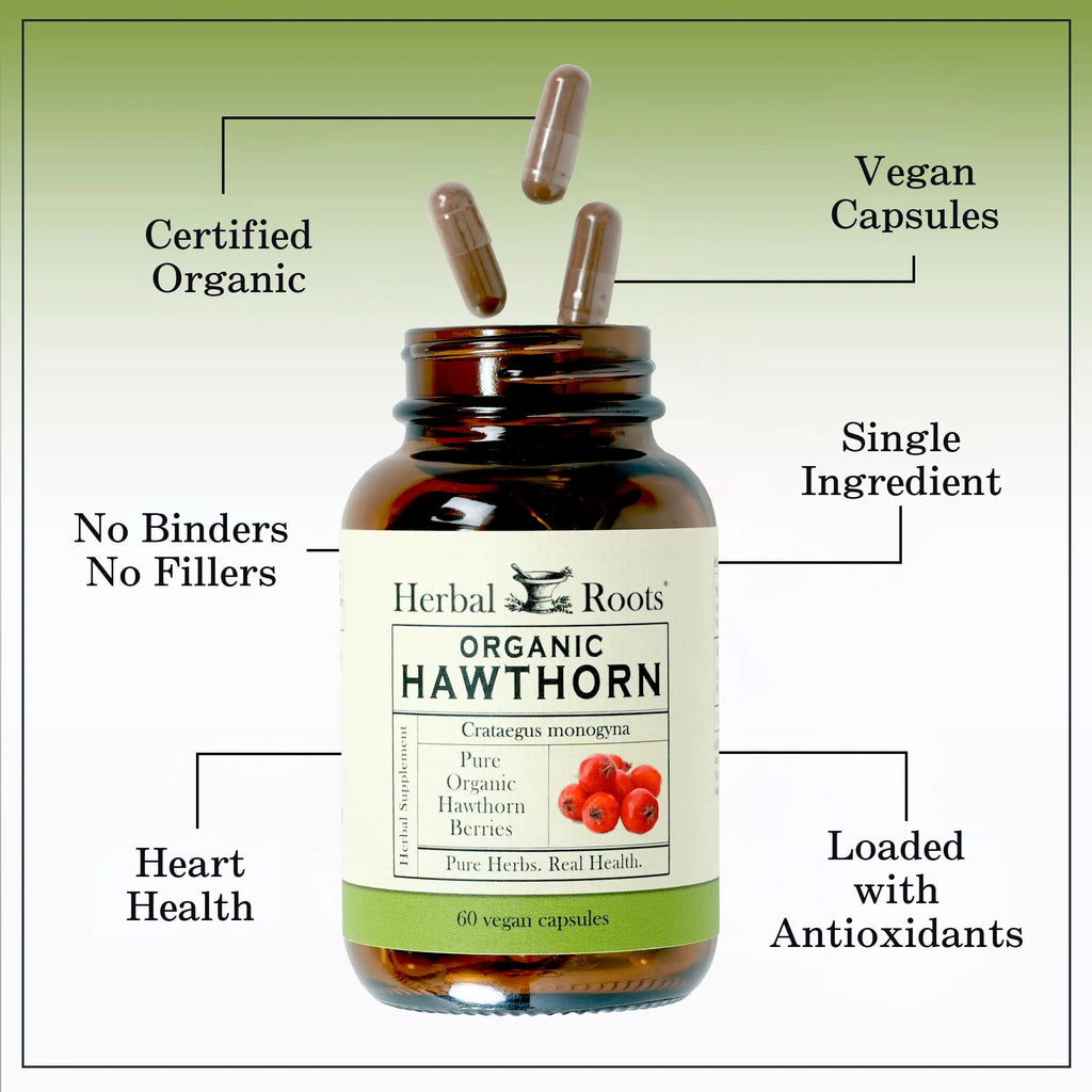 Herbal Roots Organic Hawthorn Berry Capsules | Extra Strength 1,200mg per Serving | 60 Vegan Capsules Herbal Roots Au supplements
