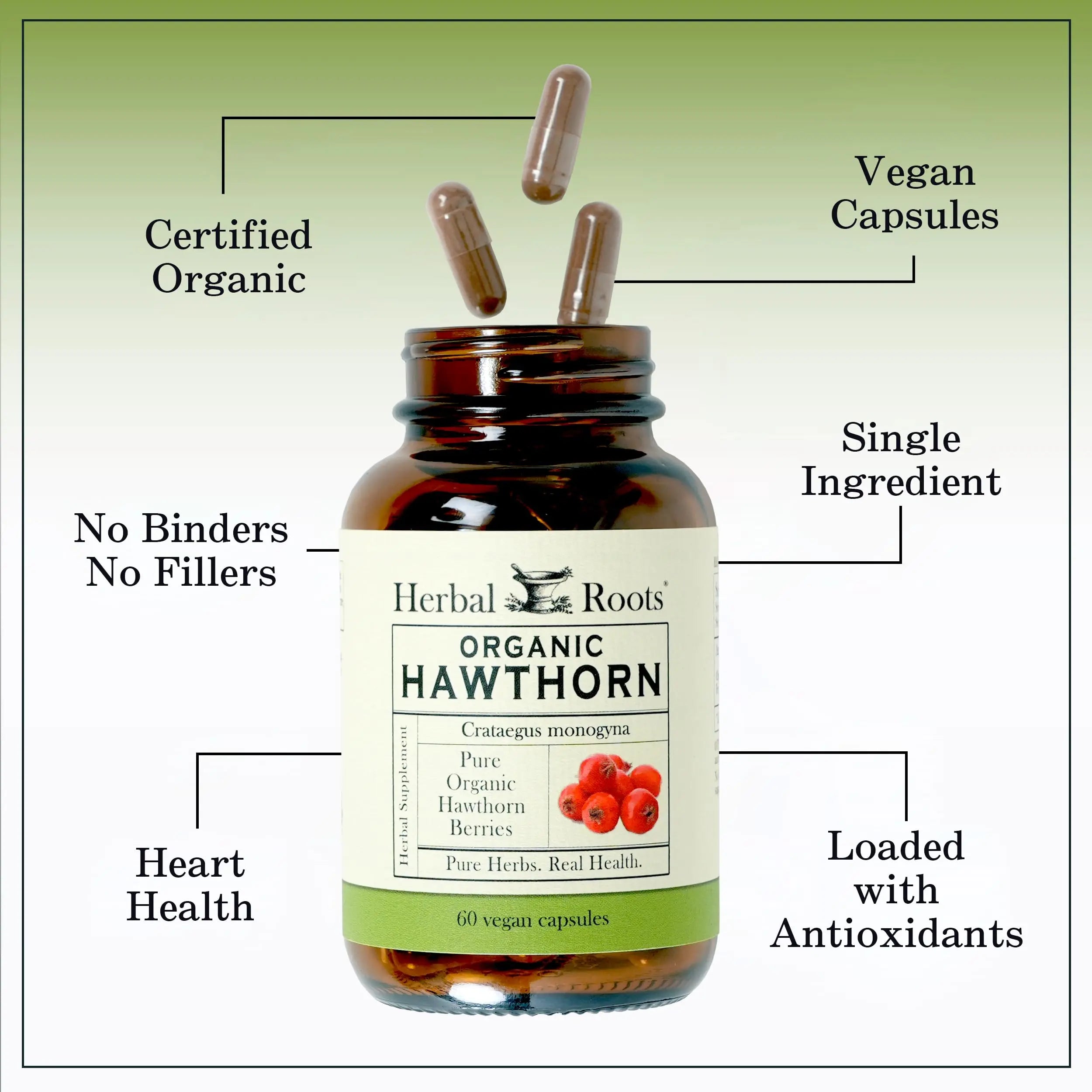 Herbal Roots Organic Hawthorn Berry Capsules | Extra Strength 1,200mg per Serving | 60 Vegan Capsules Herbal Roots Au supplements