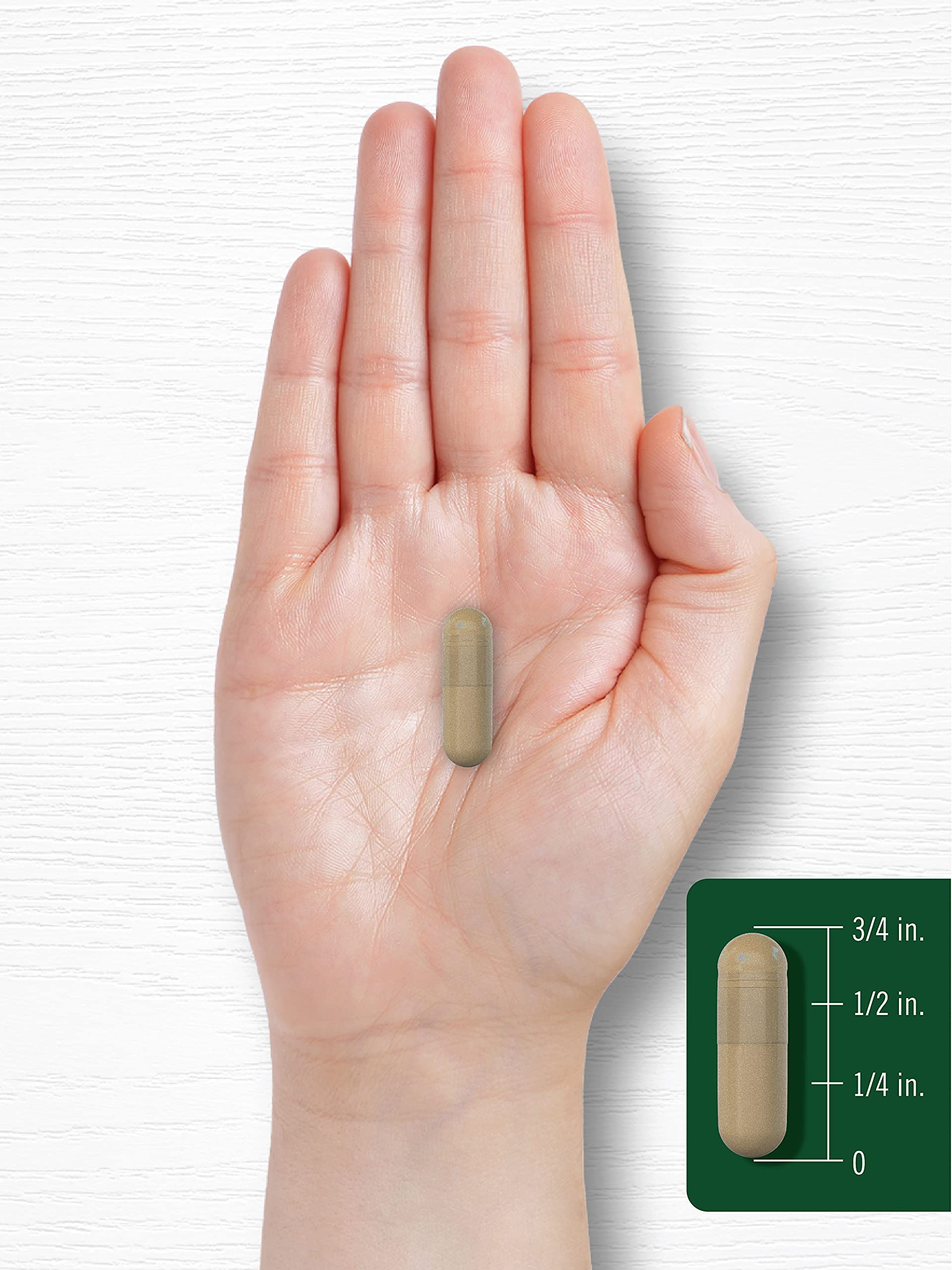 Carlyle Gotu Kola Capsules | 180 Count | Non-GMO, Gluten Free | Traditional Herb Extract