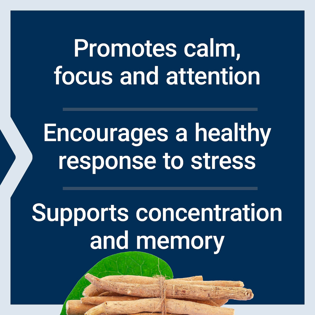Life Extension Ashwagandha Plus Calm & Focus, ashwagandha Extract, Spearmint Extract, Focus, Attention, Relaxation, Advanced Formula, 60 Vegetarian Capsules Life Extension Au supplements