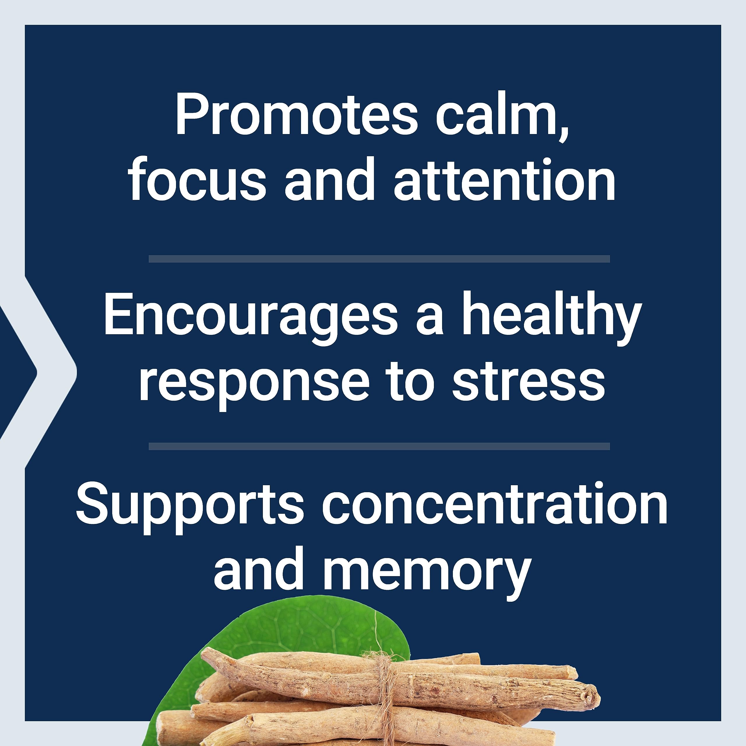 Life Extension Ashwagandha Plus Calm & Focus, ashwagandha Extract, Spearmint Extract, Focus, Attention, Relaxation, Advanced Formula, 60 Vegetarian Capsules Life Extension Au supplements