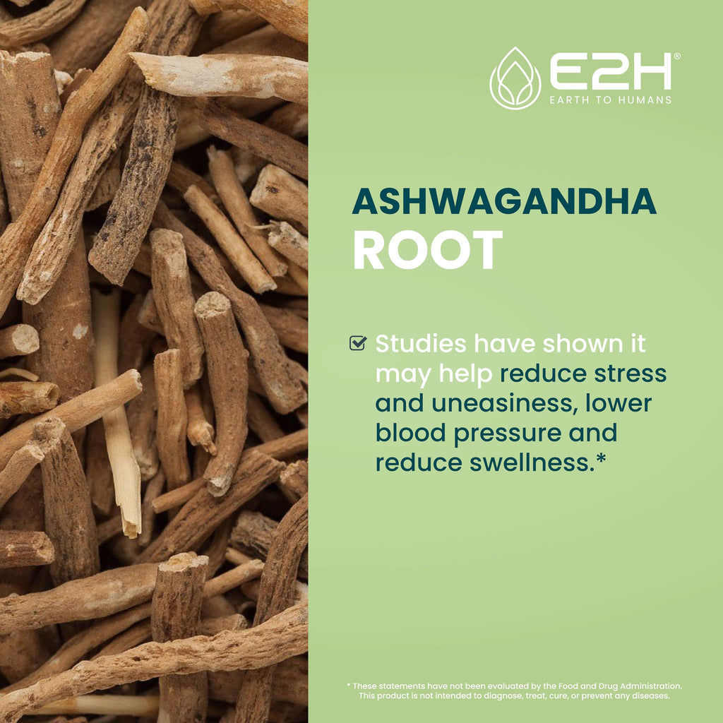 E2H Ashwagandha Liquid Drops - All-Natural Ashwagandha Supplement for Stress Relief and Mood Enhancer- Organic Ashwagandha Root Extract Effective Cortisol Manager | Non-GMO, Vegan | 2 Fl Oz E2H EARTH TO HUMANS Au supplements