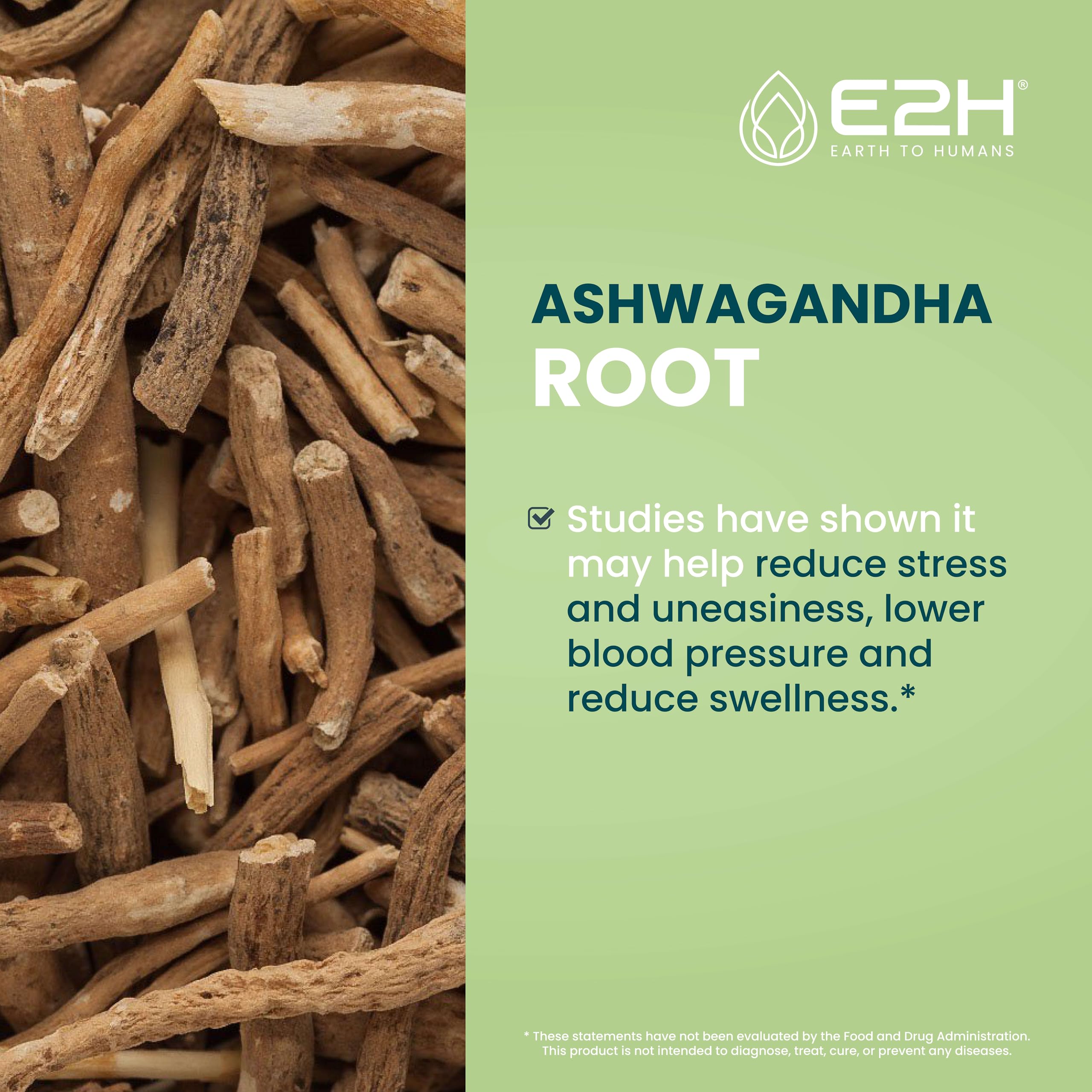 E2H Ashwagandha Liquid Drops - All-Natural Ashwagandha Supplement for Stress Relief and Mood Enhancer- Organic Ashwagandha Root Extract Effective Cortisol Manager | Non-GMO, Vegan | 2 Fl Oz E2H EARTH TO HUMANS Au supplements