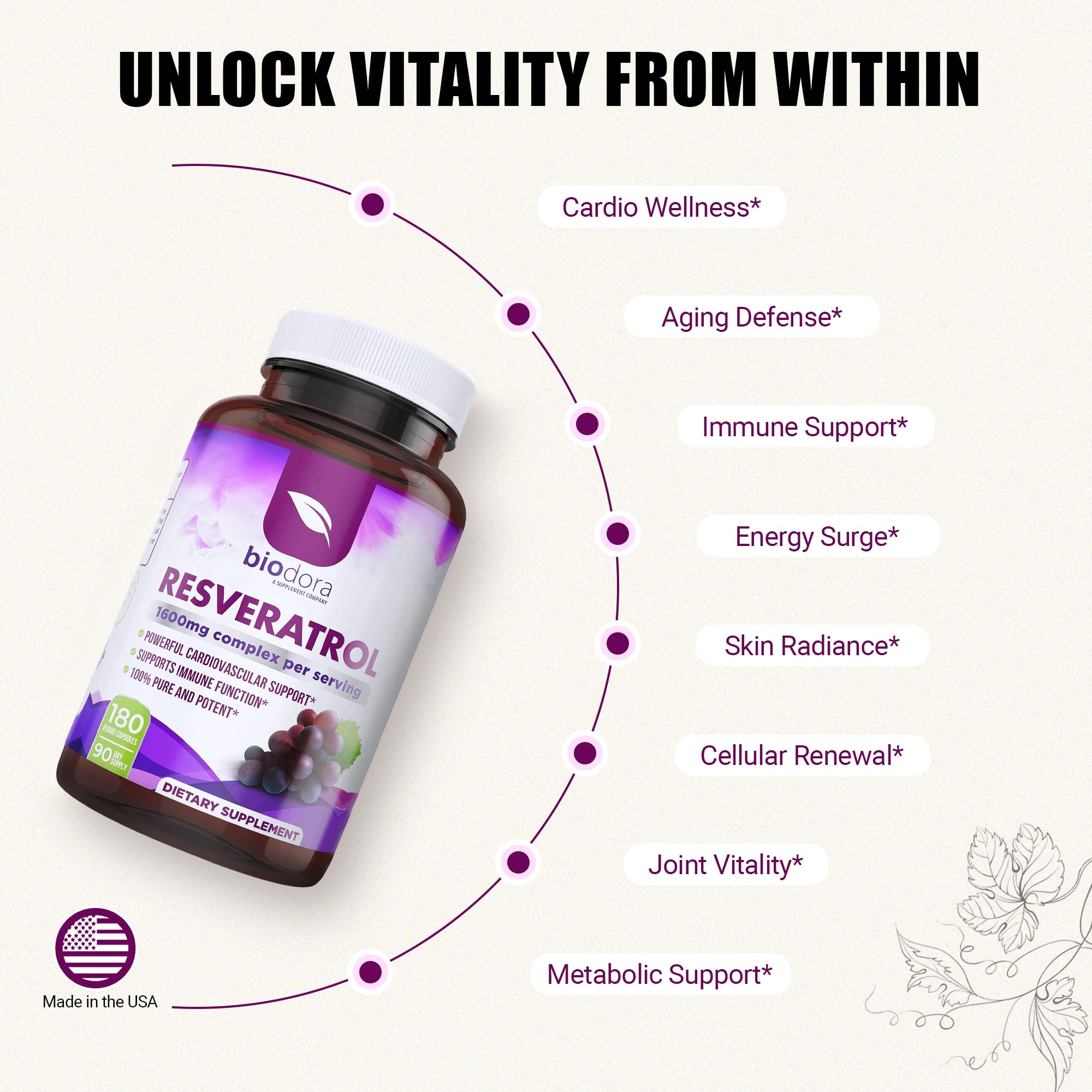 Resveratrol 1600mg - 180 Capsules | Trans-Resveratrol Antioxidant Supplement with Natural Green Tea, Grape Seed Polyphenols & Quercetin, Supports Digestive