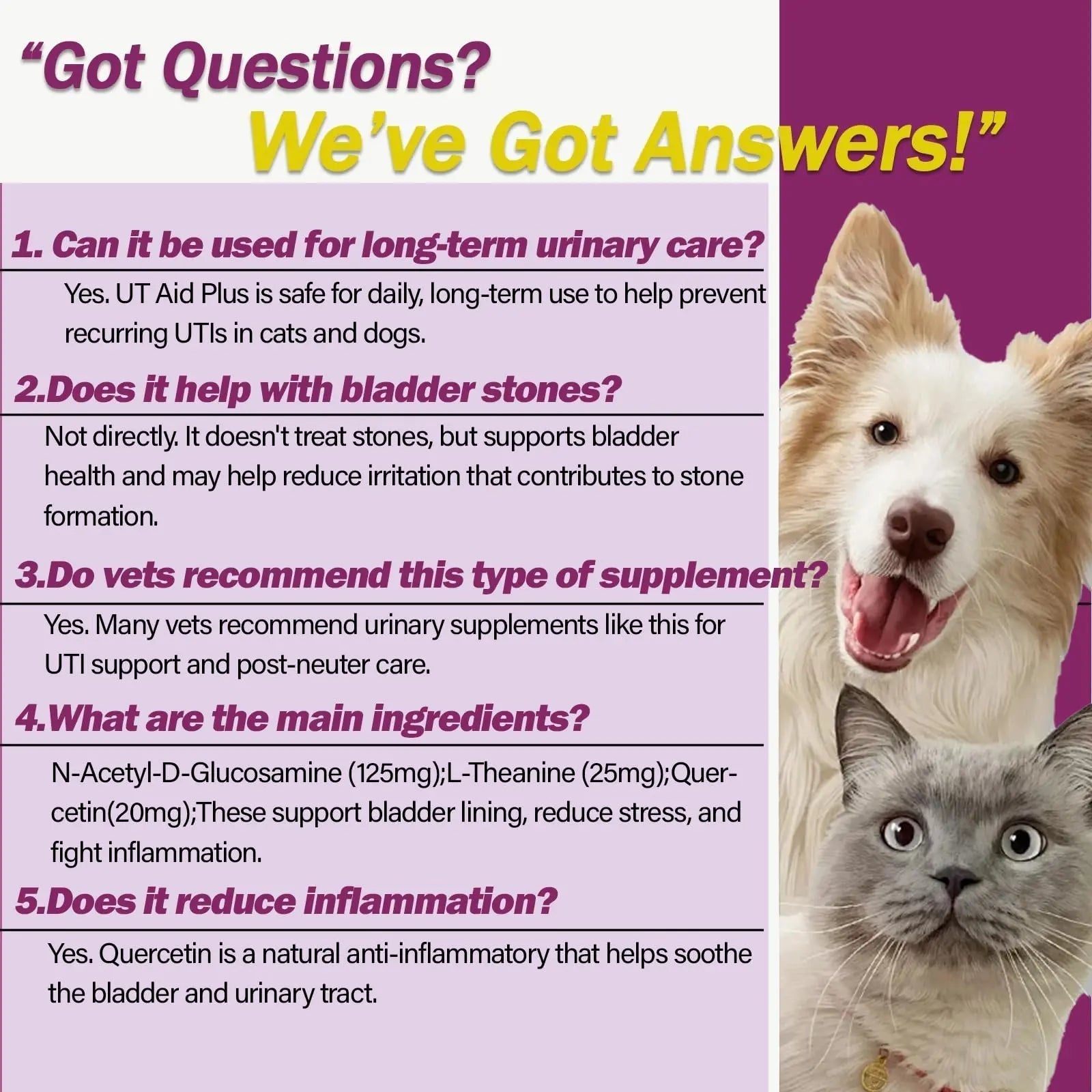 NUTRIARISE Natural UTI Treatment for Cats & Dogs – Antibiotic-Free Urinary Tract Infection Support Supplement – Bladder & Kidney Health – Incontinence Prevention – 30 Capsules NUTRIARISE Au supplements