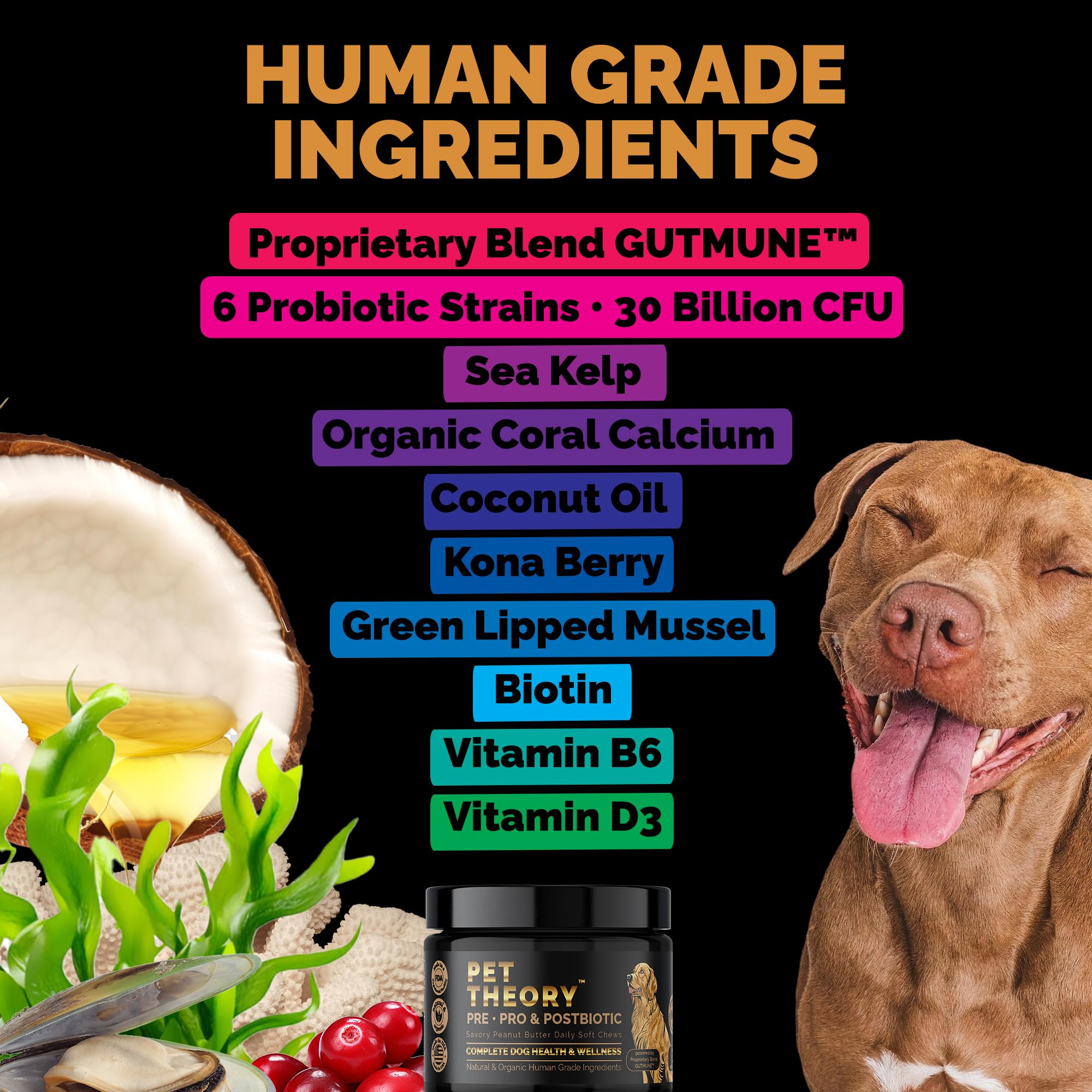 Pet Theory Probiotics for Dogs. Dog Digestive Health-Pre Pro and Postbiotic Combination-Pet Supplements for Gut Health-Supports Digestion, Boost Immunity-100CT Soft Chews Pet Theory Au supplements