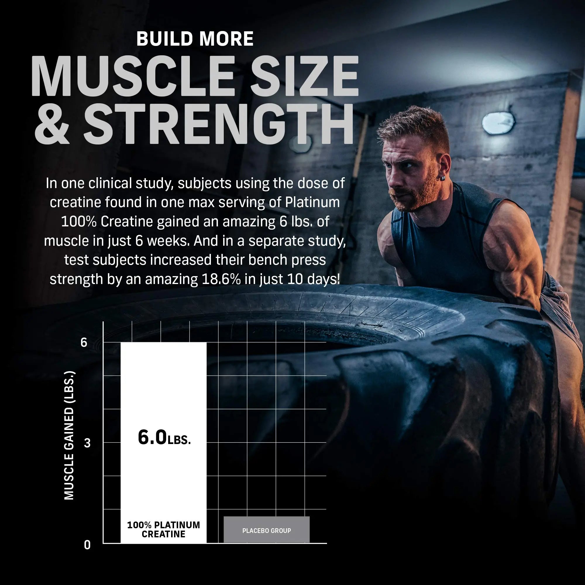 Muscletech Whey Protein Powder Phase8 Protein Powder & nohydrate Powder Platinum Muscletech Au supplements