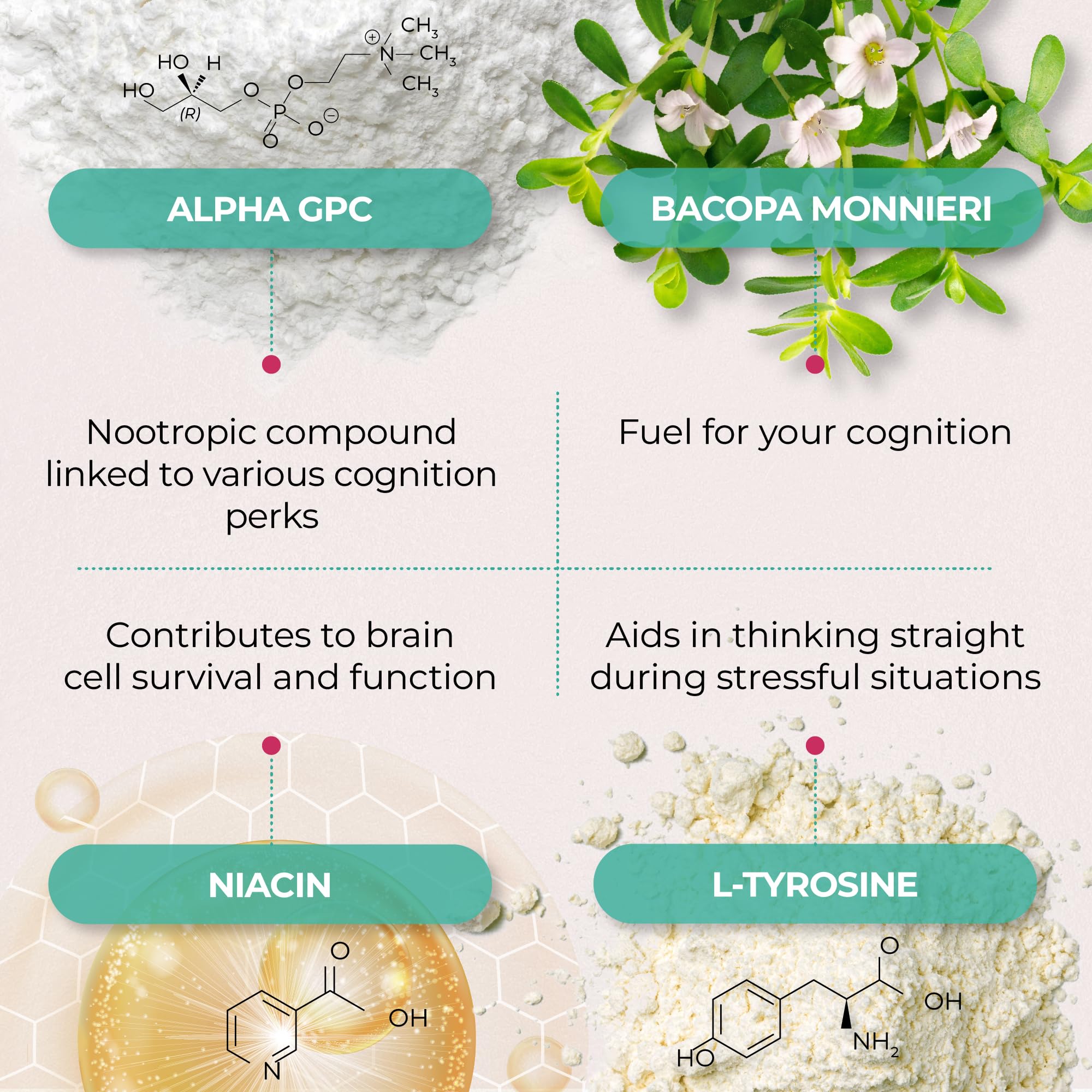 PUREHEALTH RESEARCH Ageless Brain Supplements for Memory and Focus - Nootropic Brain Health Supplement for Adults - with Bacopa Monieri, Alpha GPC, L-Tyrosine, Vitamin B6, Niacin & More, 60 Capsules PUREHEALTH RESEARCH Au supplements