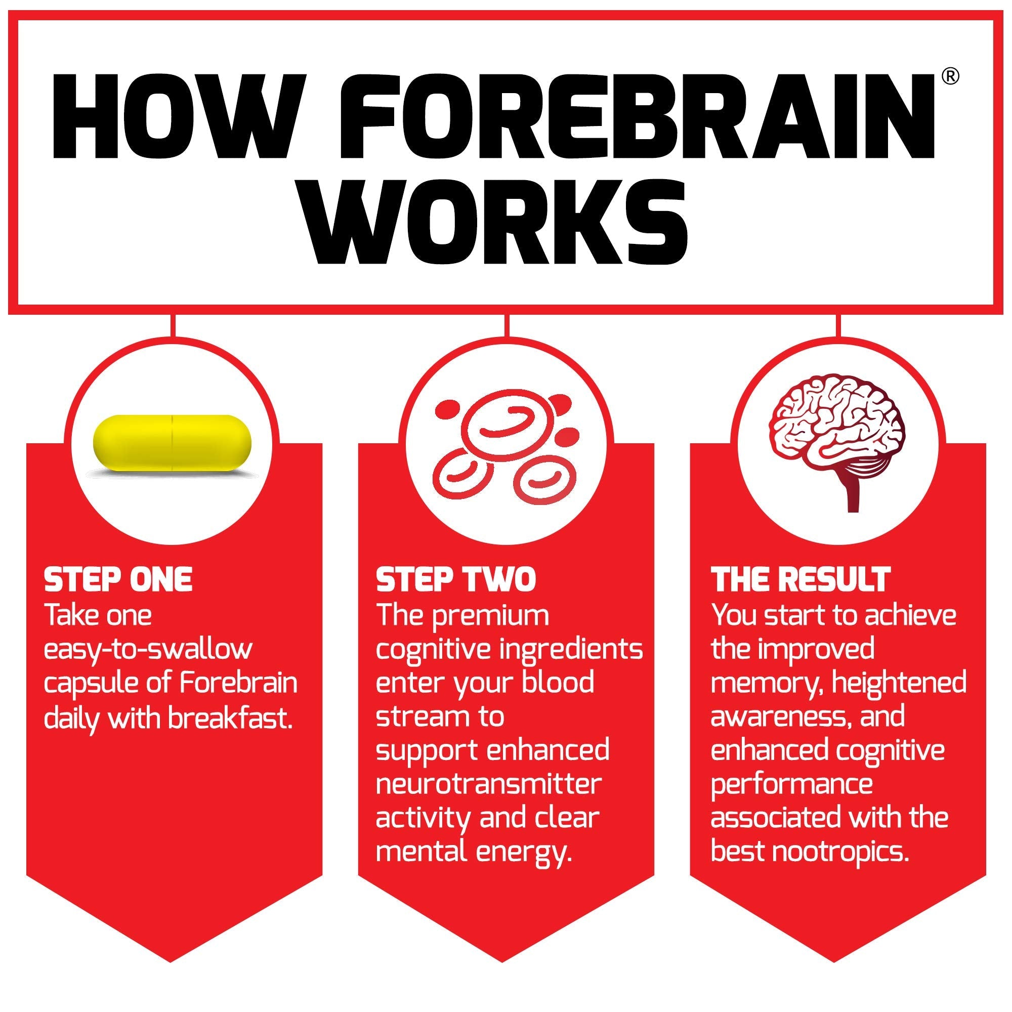 Force Factor Forebrain Nootropic Brain Supplement to Improve Memory, Boost Focus, Increase Mental Energy, and Support Brain Health with Caffeine, Bacopa, and Huperzine A, 30 Capsules Force Factor Au supplements