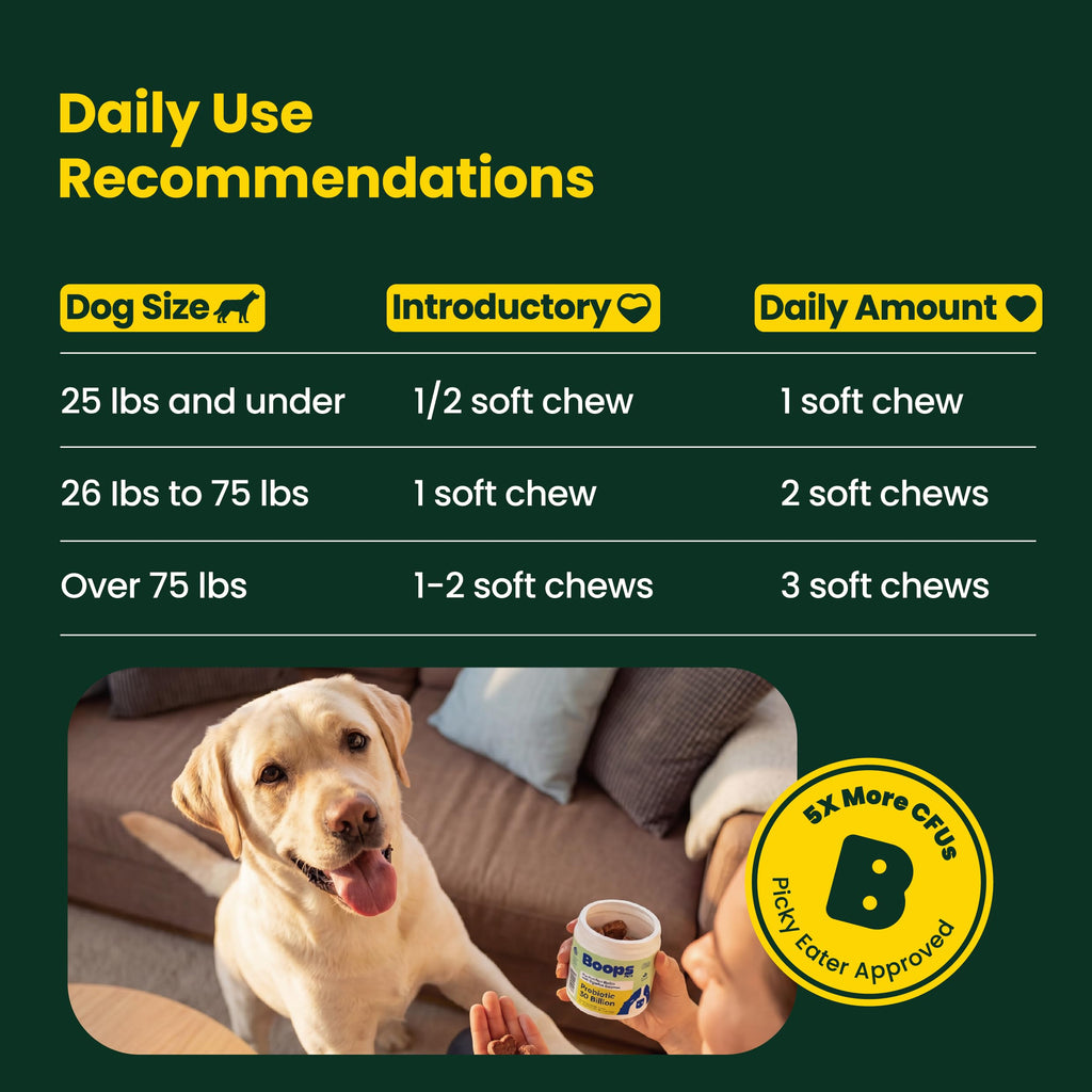 Boops Pets Probiotics for Dogs – 30 Billion CFU with Pre, Postbiotics & Digestive Enzymes – Supports Gut Health, Immunity, Loose Stools & Allergies – Filet Mignon Flavor – Vet Formulated – 60 Chews Boops Pets Au supplements