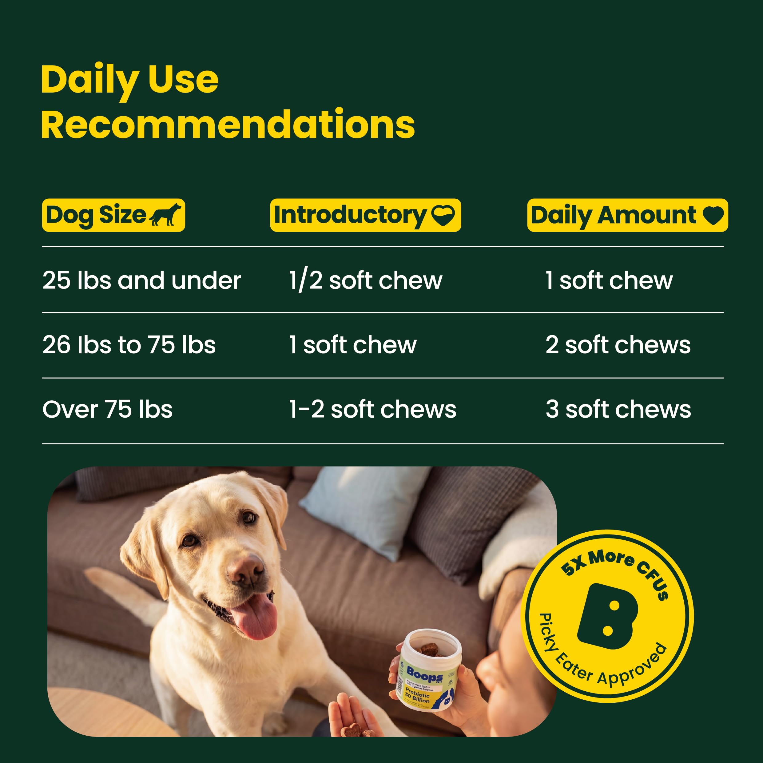 Boops Pets Probiotics for Dogs – 30 Billion CFU with Pre, Postbiotics & Digestive Enzymes – Supports Gut Health, Immunity, Loose Stools & Allergies – Filet Mignon Flavor – Vet Formulated – 60 Chews Boops Pets Au supplements