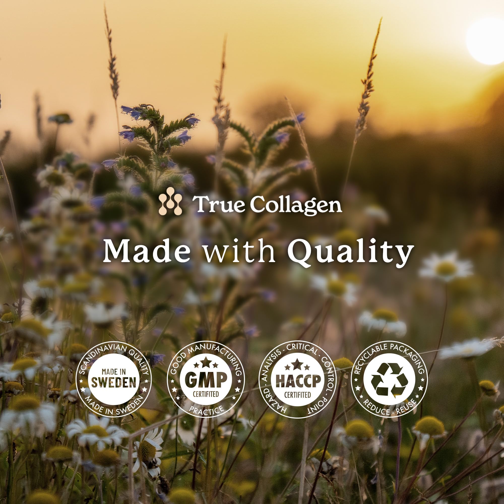 True Collagen Joints | 10,000 mg Hydrolyzed Collagen Liquid Supplement - 500 ml, 20 Day Supply | Glucosamine, MSM and Chondroitin for Healthy Joints | Fat-Free, Sugar-Free, 100% Natural Berry Flavor True Collagen Au supplements
