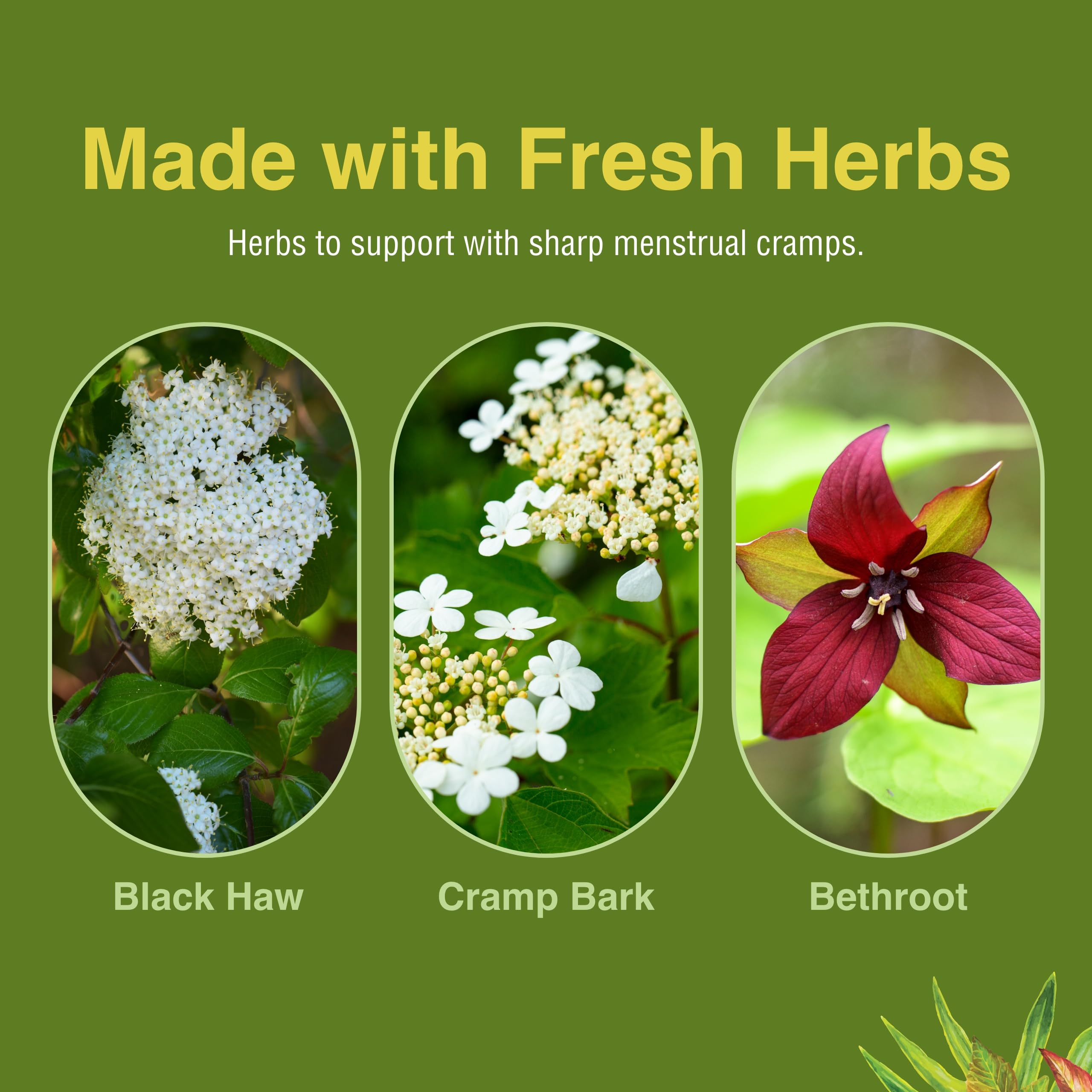 Herbs Etc. Cramp ReLeaf (Menstrual) - Abdominal Muscle Support - Herbal Supplement to Aid Menstrual Health - Period Cramp Support with Black Haw, Cramp Bark and Bethroot - 60 Softgels (60 Servings) Herbs Etc. Au supplements
