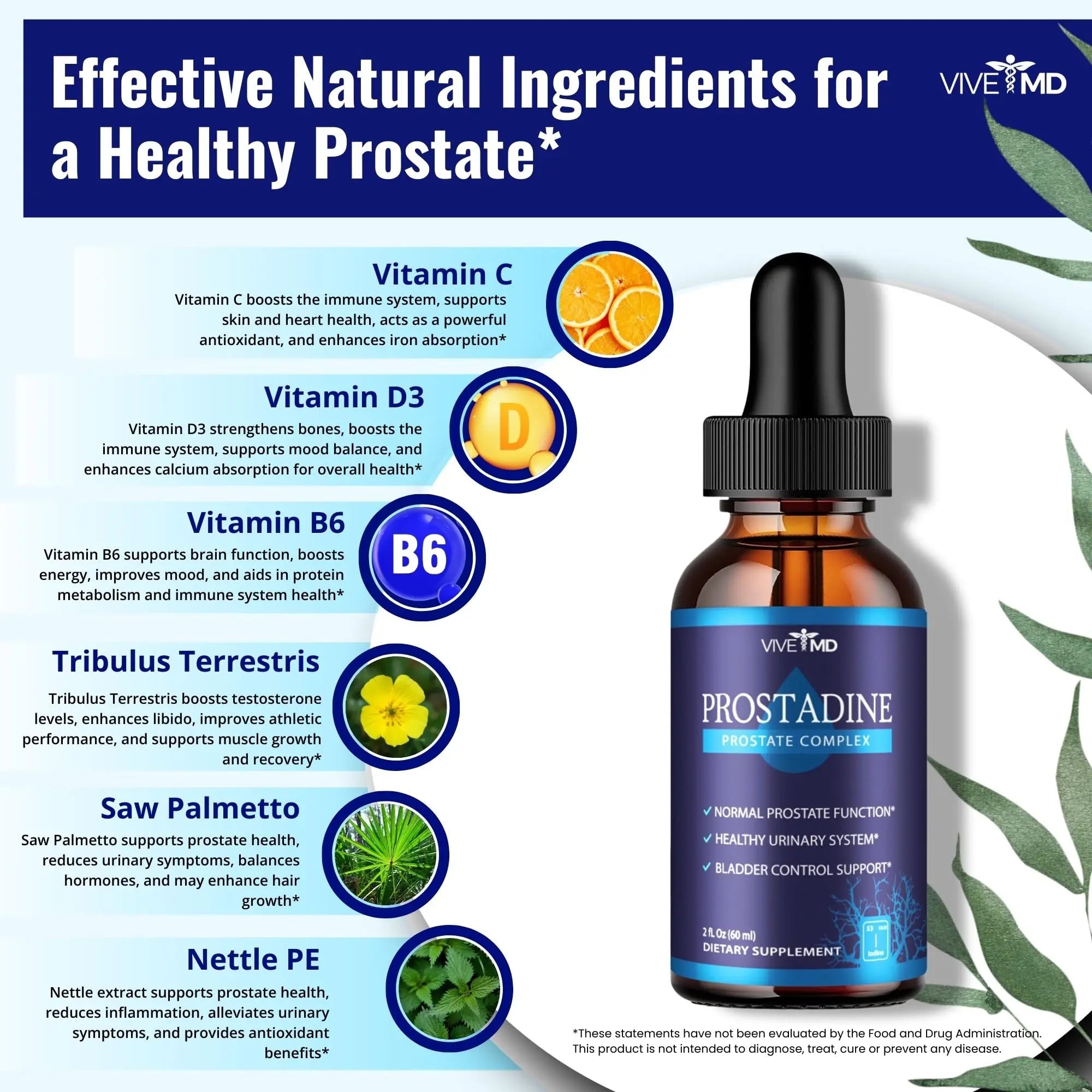 VIVE MD Prostadine Drops for Prostate Health, Bladder Urinating Issues - Prostadine Official Drop Formula - Extra Strength with Pomegranate, Prostadine Reviews (Package of 1) VIVE MD Au supplements