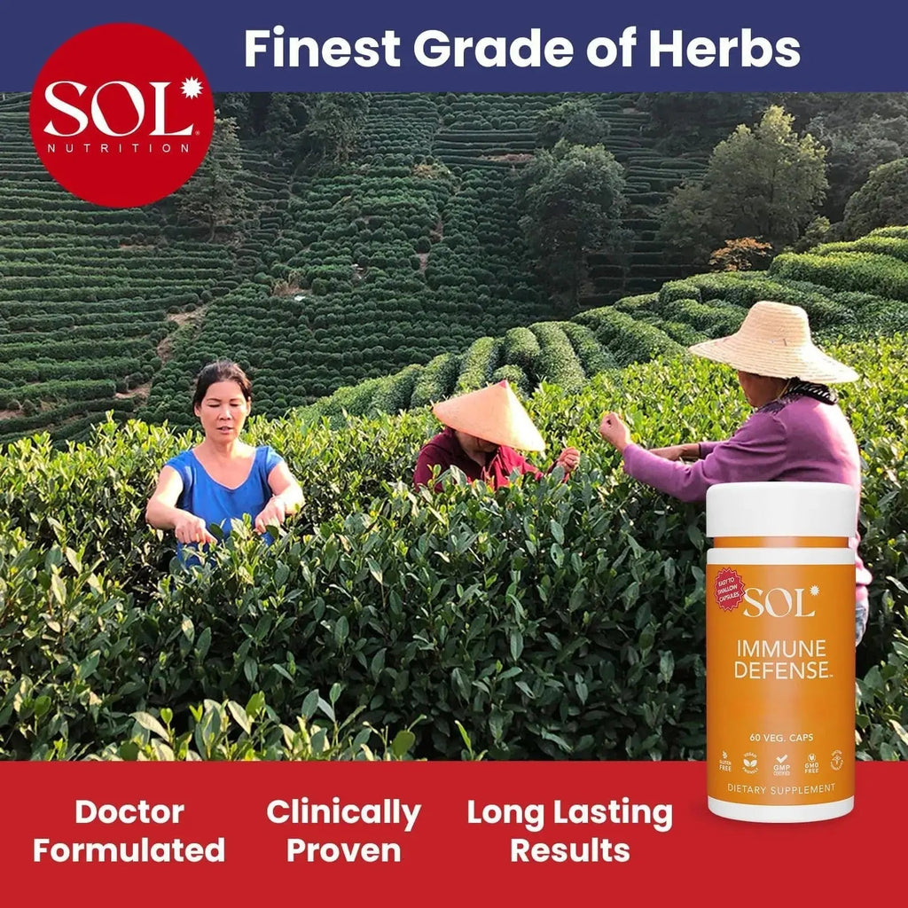 Immune Defense Supplement: Clears Allergens, Builds Strong Immune System, 15X More Powerful, Astragalus, Goto Kola, Andrographis Sol Nutrition Au supplements