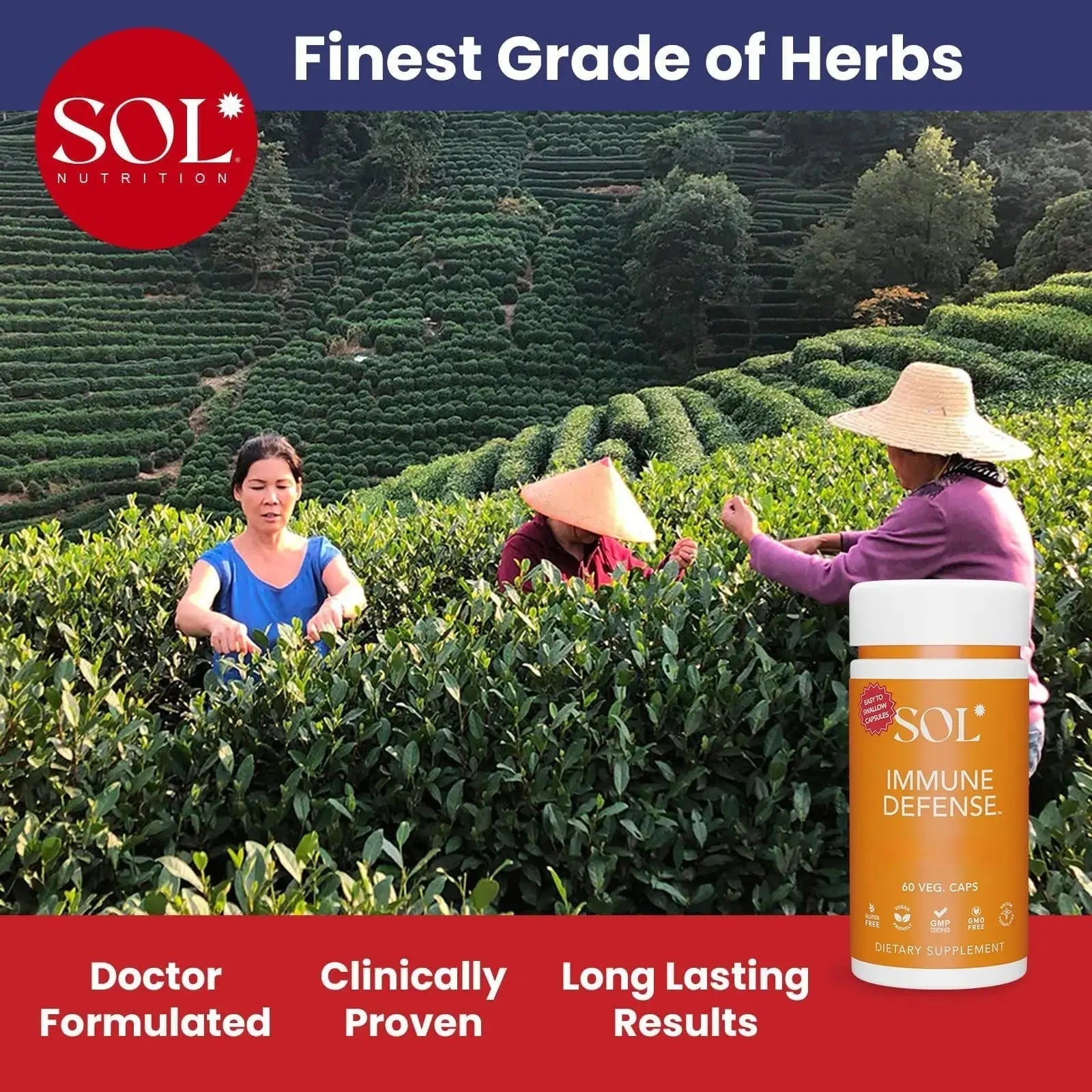 Immune Defense Supplement: Clears Allergens, Builds Strong Immune System, 15X More Powerful, Astragalus, Goto Kola, Andrographis Sol Nutrition Au supplements
