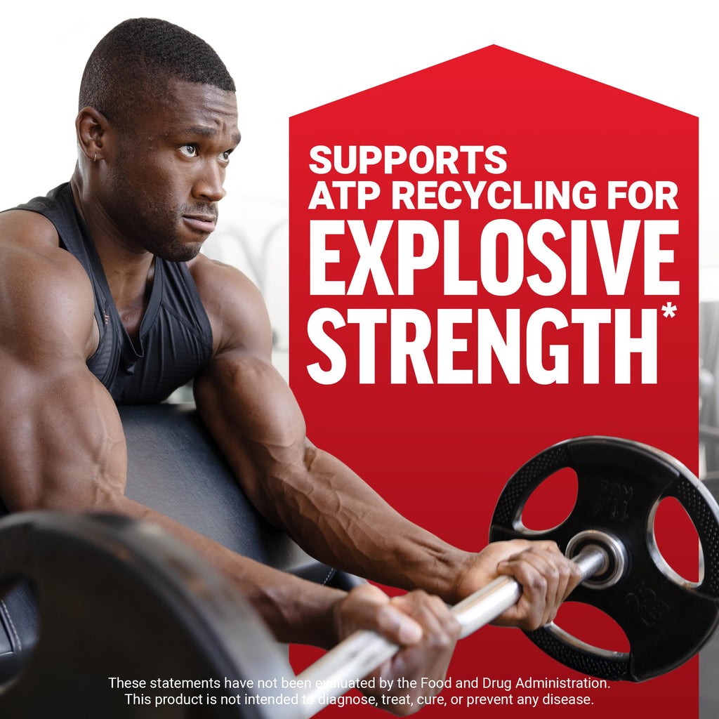 Force Factor Creatine Monohydrate Powder, 5g Micronized Dose to Support Muscle Growth, Strength, Recovery, Cognitive Health & Memory