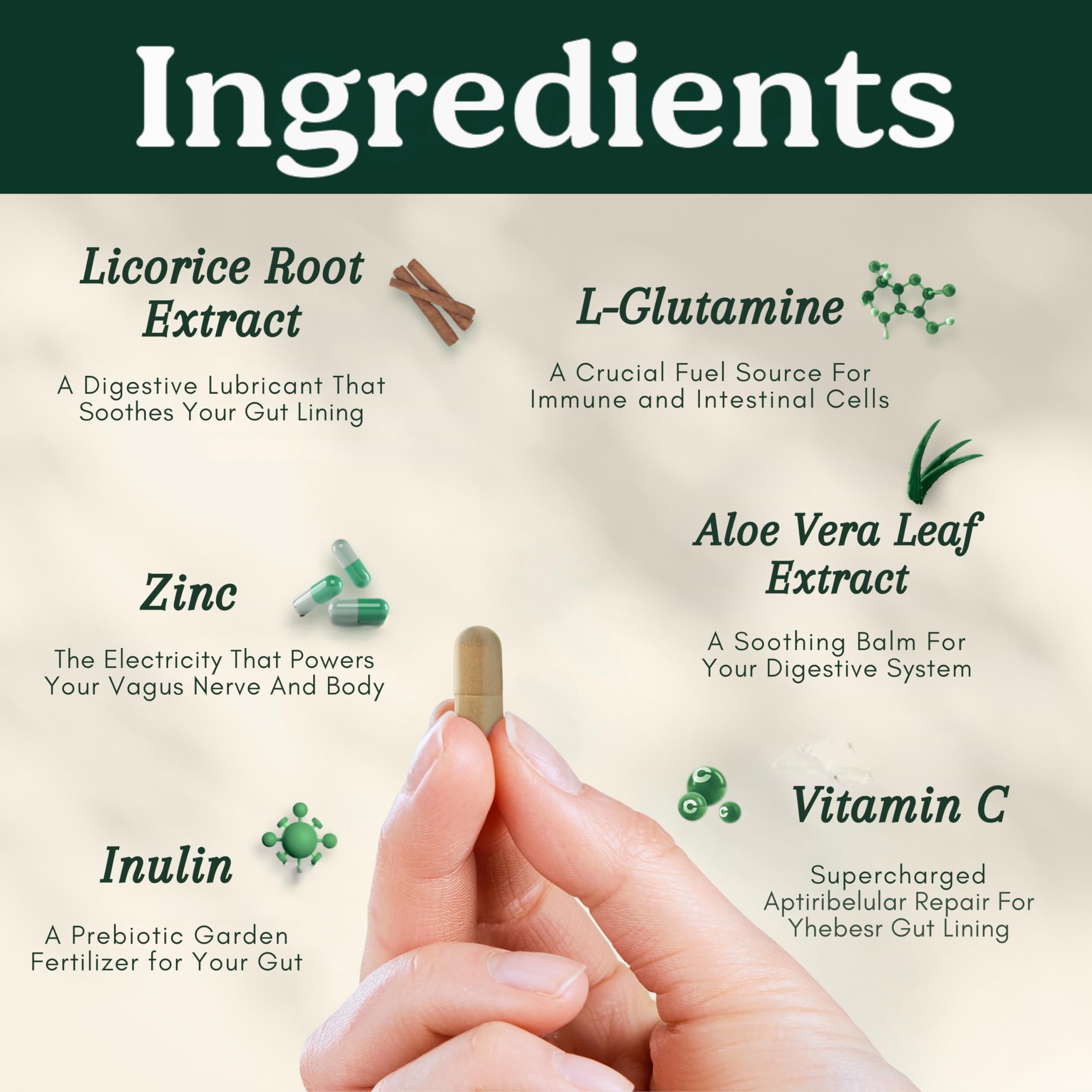 Best Days Formula | Advanced 5-in-1 Gut Support for Bloating, Gas & Irregularity | Soil-Based Probiotics + Prebiotics, L-Glutamine, Aloe Vera & More | 60 Capsules