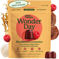 Plant People WonderDay Mushroom Gummies - Lion’s Mane, Cordyceps, Chaga Mushroom Supplement to Support Immune System De-Stress Boost Mood & Energy in Adults Natural