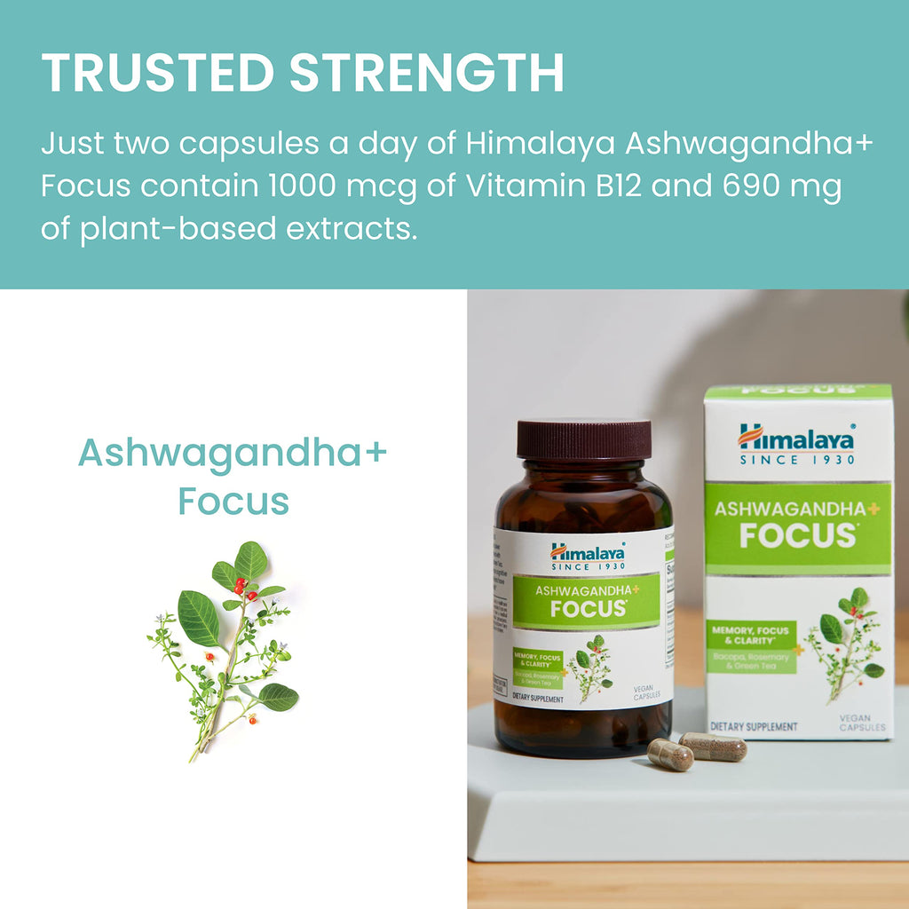 Himalaya Ashwagandha+ Focus - Herbal Focus Supplement with B12, Rosemary, Green Tea, and Bacopa Nootropics for Memory and Clarity - Vegan, Non-GMO, Gluten Free, 1690 mg, 60 Caplets Himalaya Au supplements