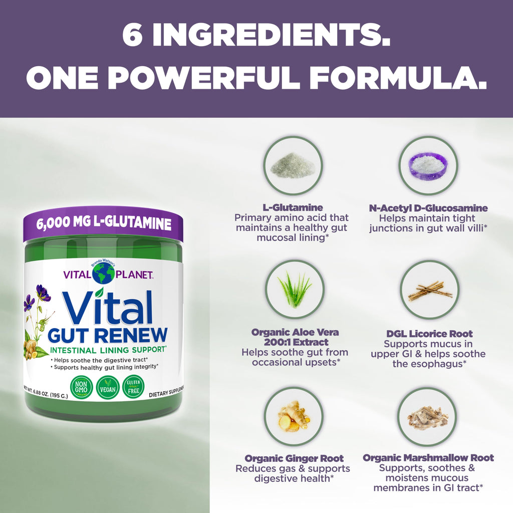 Vital Planet - Vital Gut Renew Powder Supplement for Leaky Gut Repair with L-Glutamine, Marshmallow and Ginger Root, DGL Licorice Root and Organic
