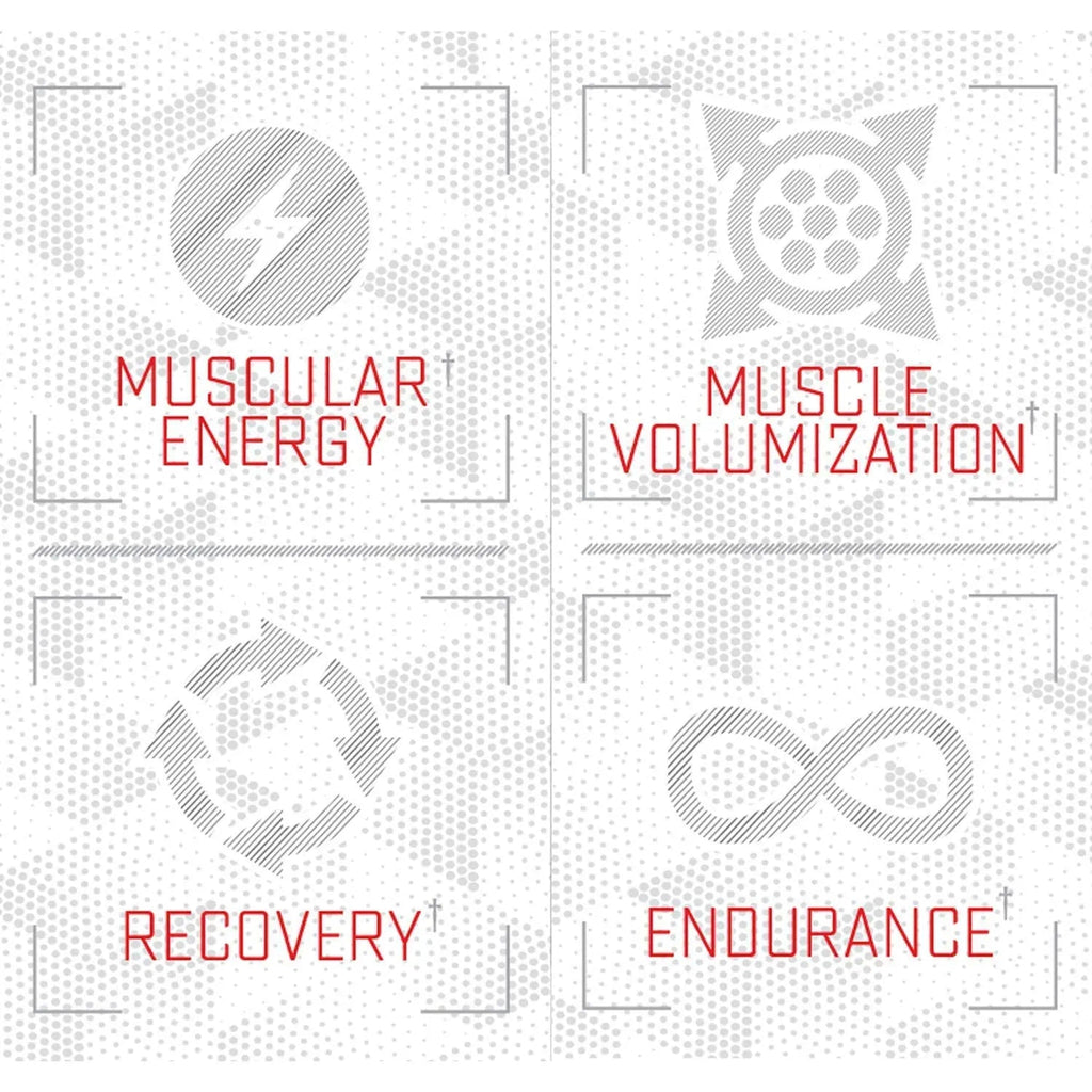 Purus Labs Foundation Series Citrulline Malate Powder | Active Amino Acid L-Citrulline Purus Labs Au supplements