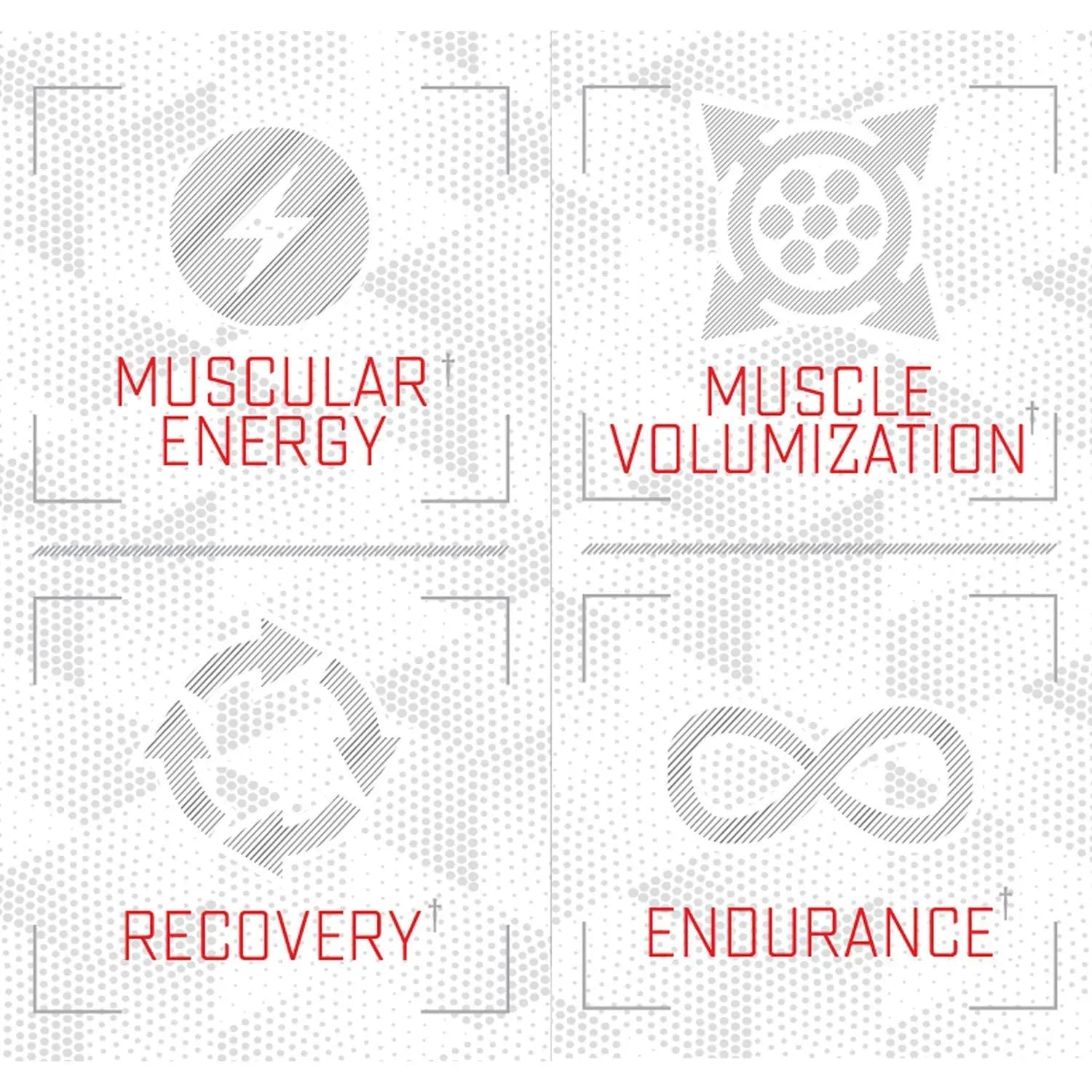 Purus Labs Foundation Series Citrulline Malate Powder | Active Amino Acid L-Citrulline Purus Labs Au supplements
