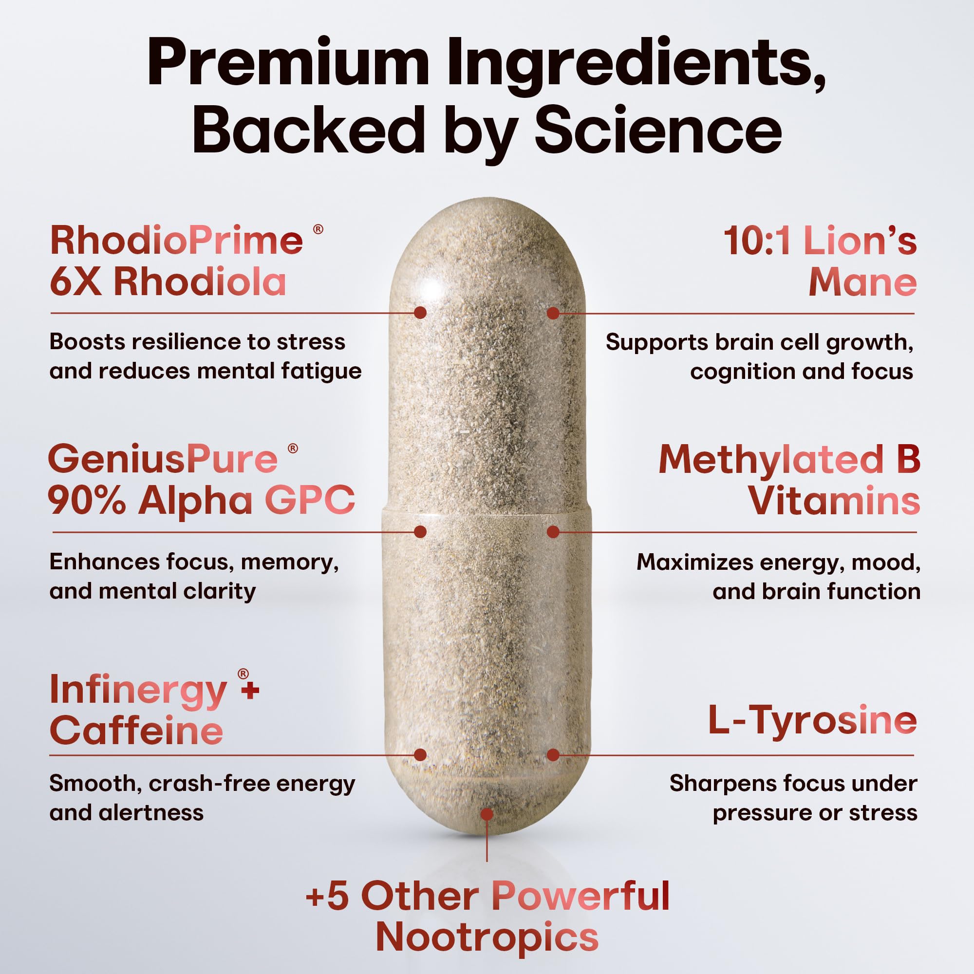 Nootropic Strongest Focus Supplement - Clinically Backed Ingredients Made in USA - Scientifically Backed Doses - Supplement for Brain Fog - AlphaGPC, Lions Mane, Rhodiola and More 10:1 90 Capsules CRTX Nutrition Au supplements