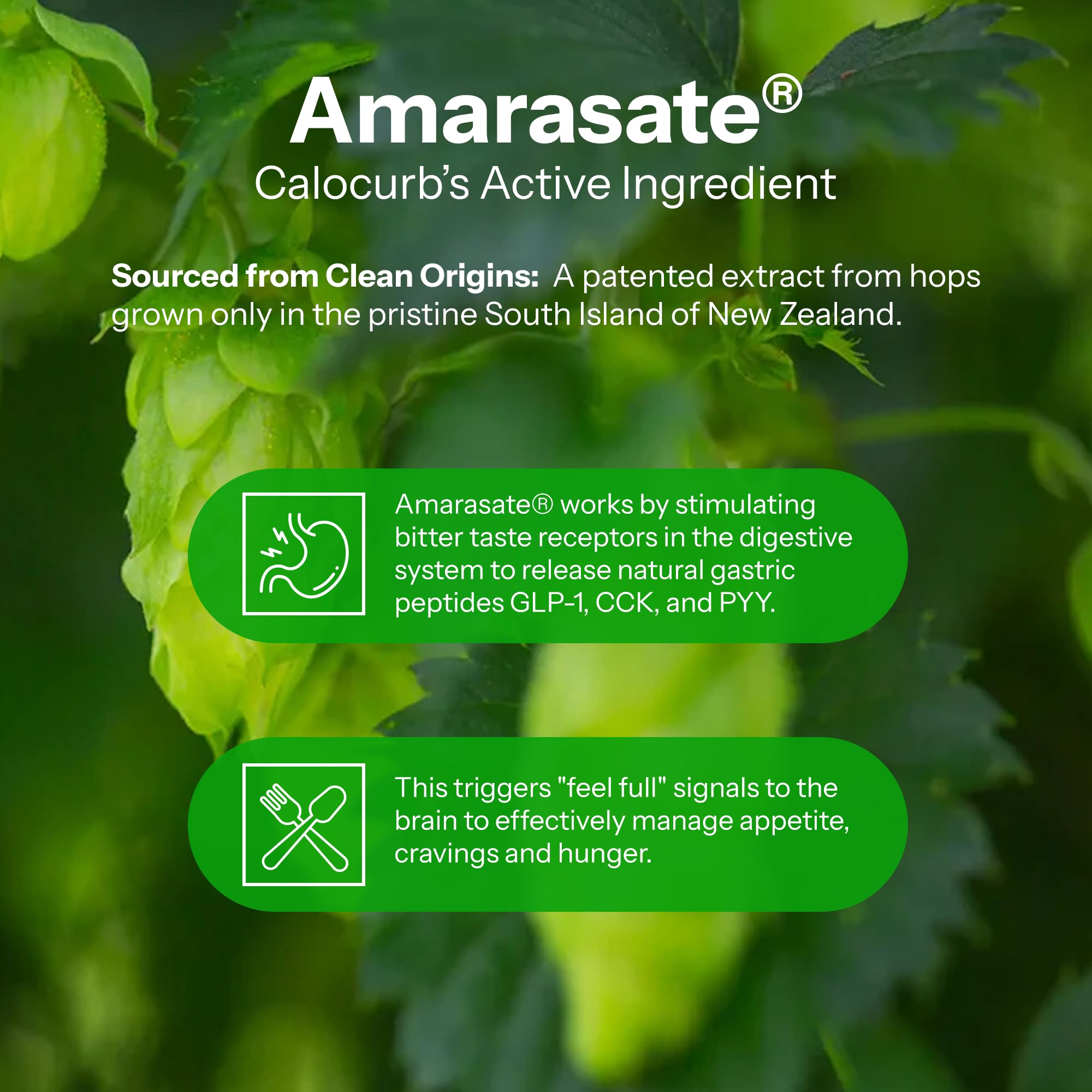 Calorie Control Supplement 6X Natural Support, Official & Patented Amarasate Formula, Plant Based Dietary GLP1 Supplement, Manages Appetite, Hunger & Cravings,
