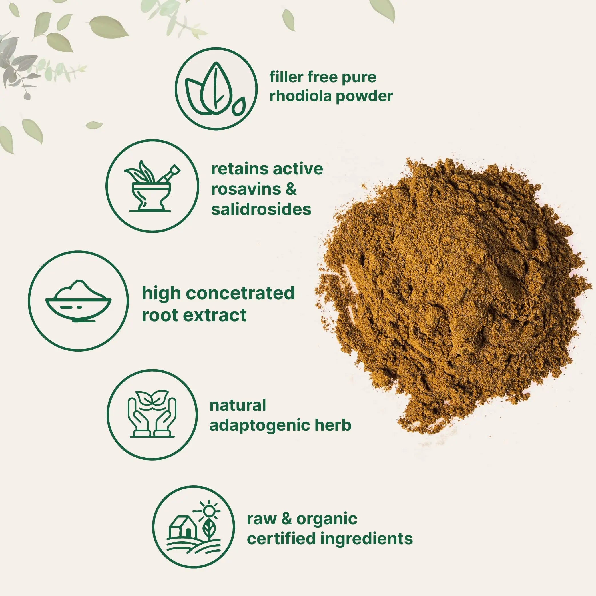 Micro Ingredients Organic Rhodiola Rosea Root Extract, 50g Powder | Adaptogenic Herb Micro Ingredients Au supplements
