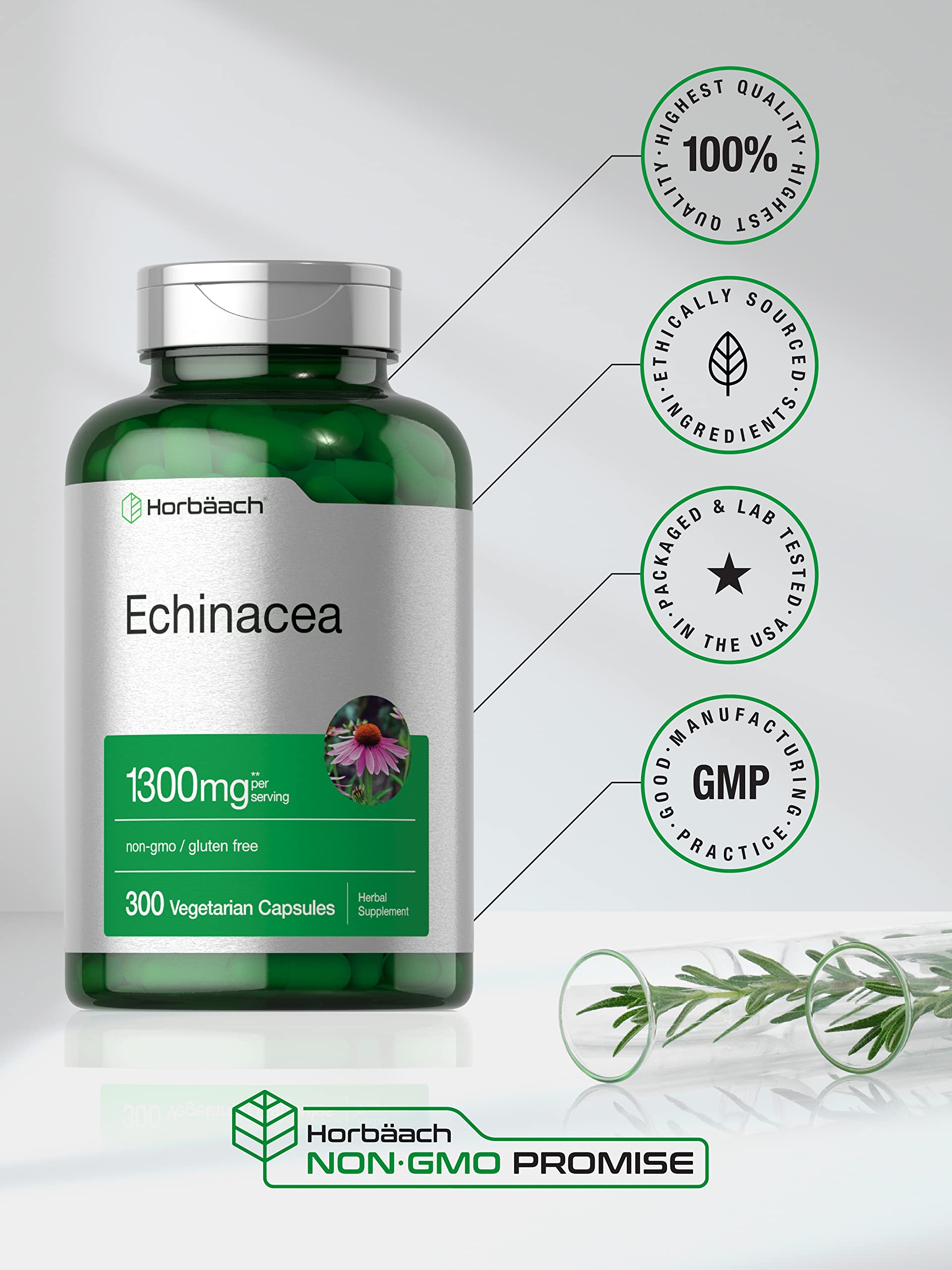 Horbäach Echinacea Extract Capsules | 300 Count | Vegan, Non-GMO, Gluten Free Supplement