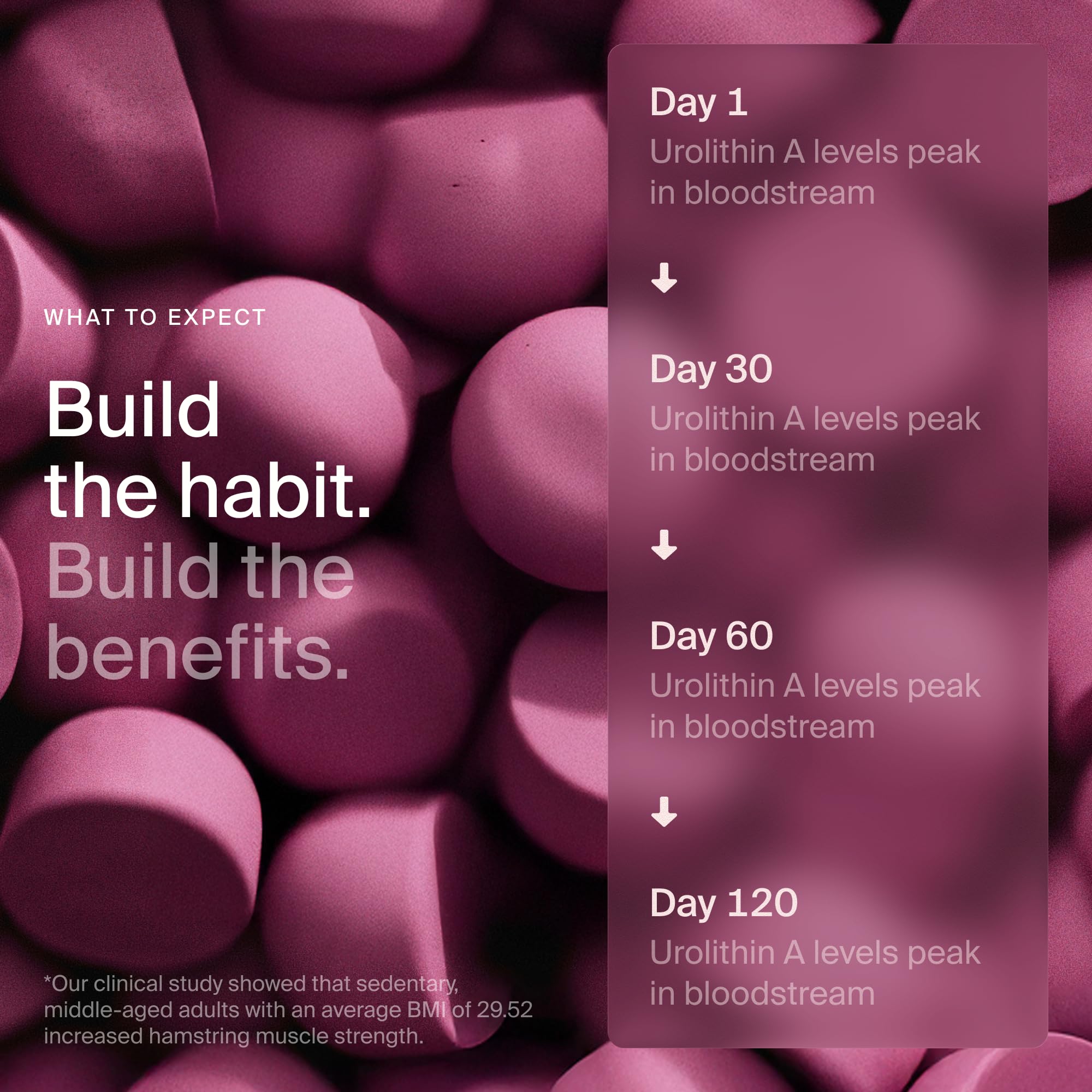 Timeline Mitopure Urolithin A Supplement Gummies - Clinically Proven Support for Healthy Aging Cellular Energy Muscle Strength and Longevity Timeline Au supplements