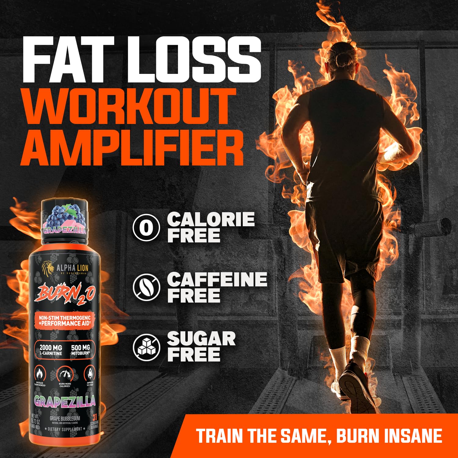 ALPHA LION Burn2O L-Carnitine Liquid 2000mg – Stim Free Super Thermogenic Fat Burner with MitoBurn® & CaloriBurn GP®, Metabolism Booster, Zero Calorie