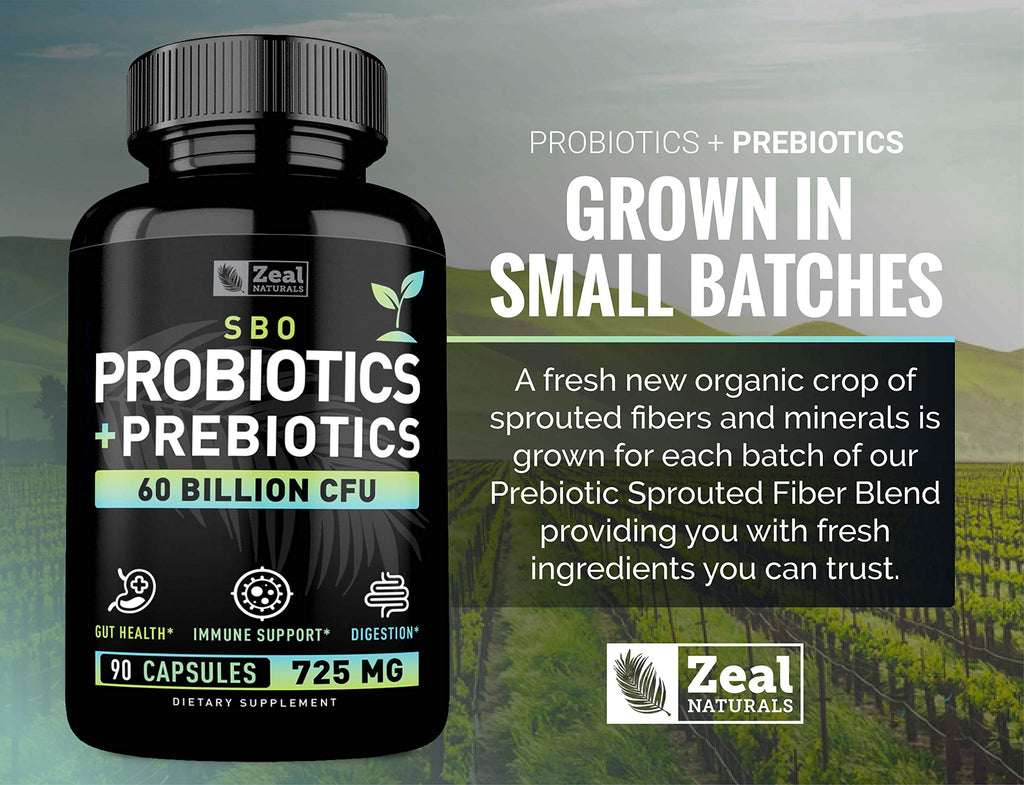 Probiotics and Prebiotics + SBO Probiotics (60 Billion CFU | 90 Capsules) Acidophilus Probiotic w. Saccharomyces Boulardii, Bifidobacterium + Spore Probiotic & Organic Sprouted Prebiotic Fiber Blend Zeal Naturals Au supplements
