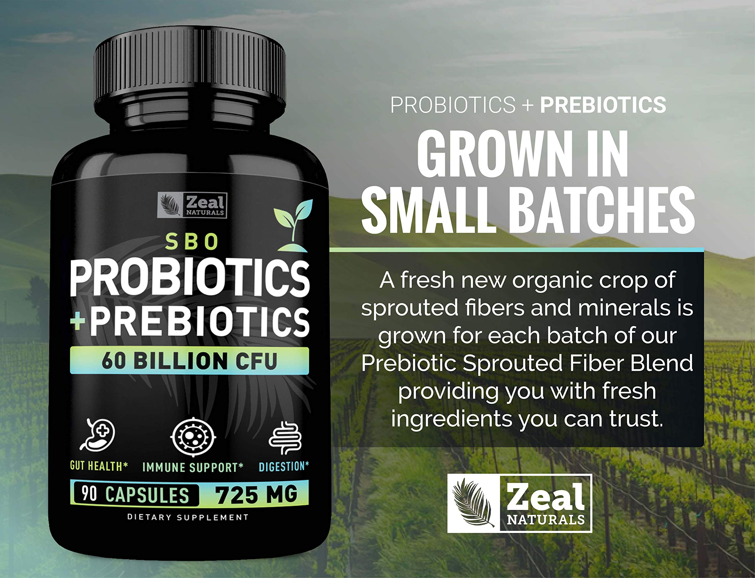 Probiotics and Prebiotics + SBO Probiotics (60 Billion CFU | 90 Capsules) Acidophilus Probiotic w. Saccharomyces Boulardii, Bifidobacterium + Spore Probiotic & Organic Sprouted Prebiotic Fiber Blend Zeal Naturals Au supplements