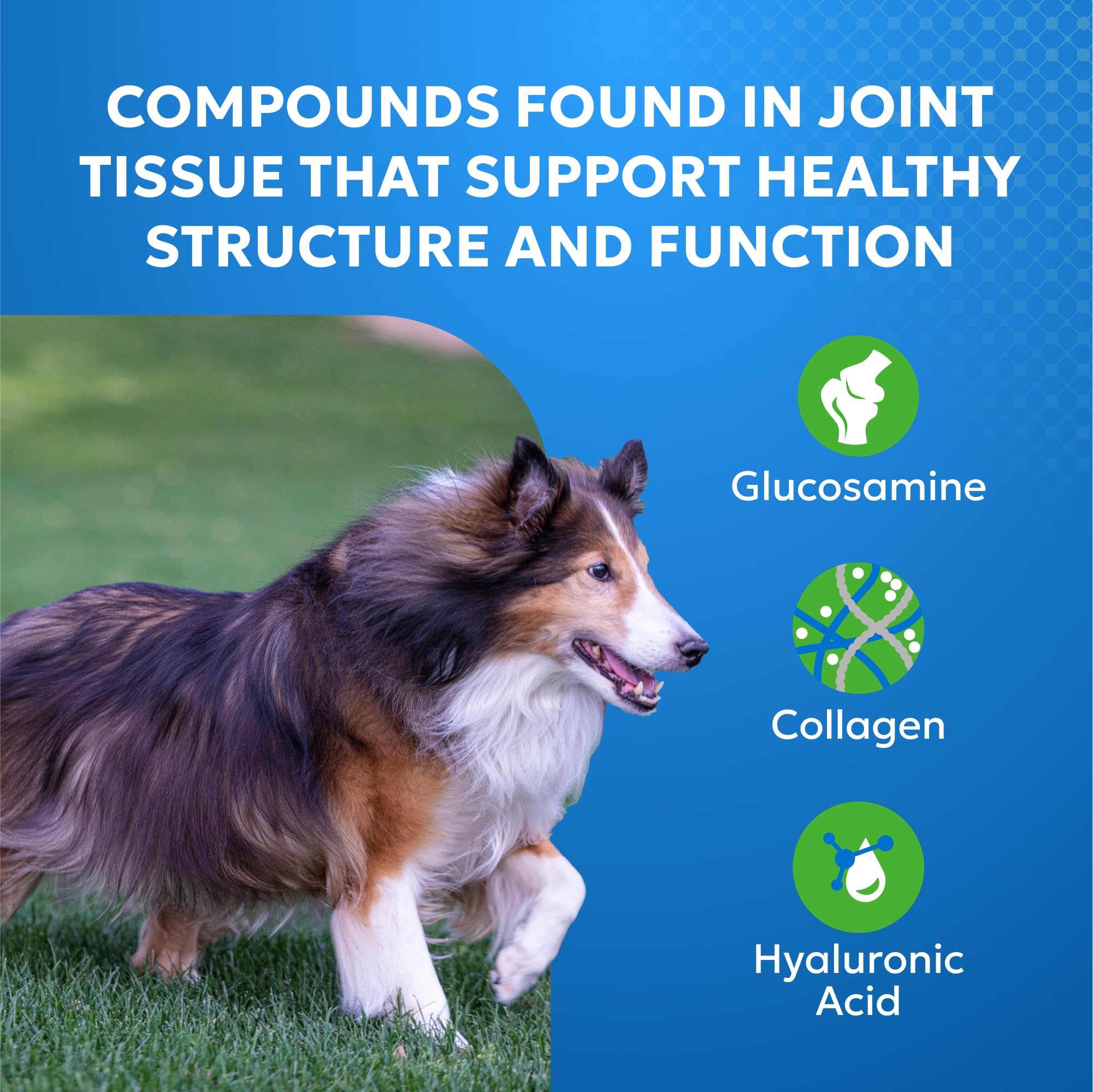Nutramax Cosequin Elements Dog Joint Health Supplement with Glucosamine, Green Lipped Mussel, Omega-3s, Eggshell Membrane, Hyaluronic Acid, & Postbiotics, 75 Tasty Chewable Tablets for Dogs Nutramax Laboratories Au supplements